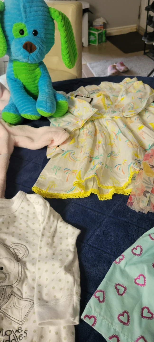 Toddler Girl Clothing and Plush Toy Bundle - photo 3