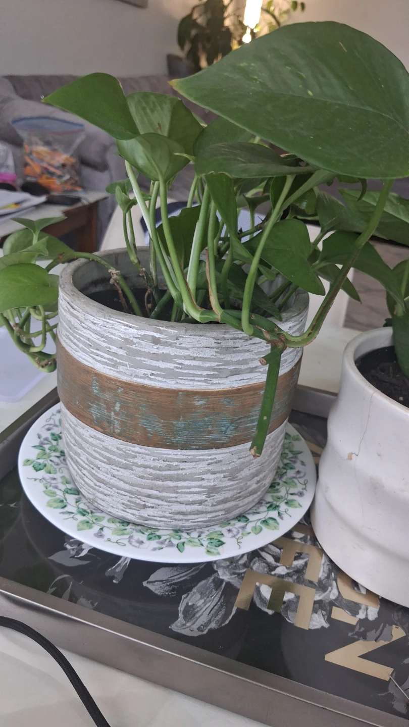 Textured Grey and Bronze Ceramic Planter