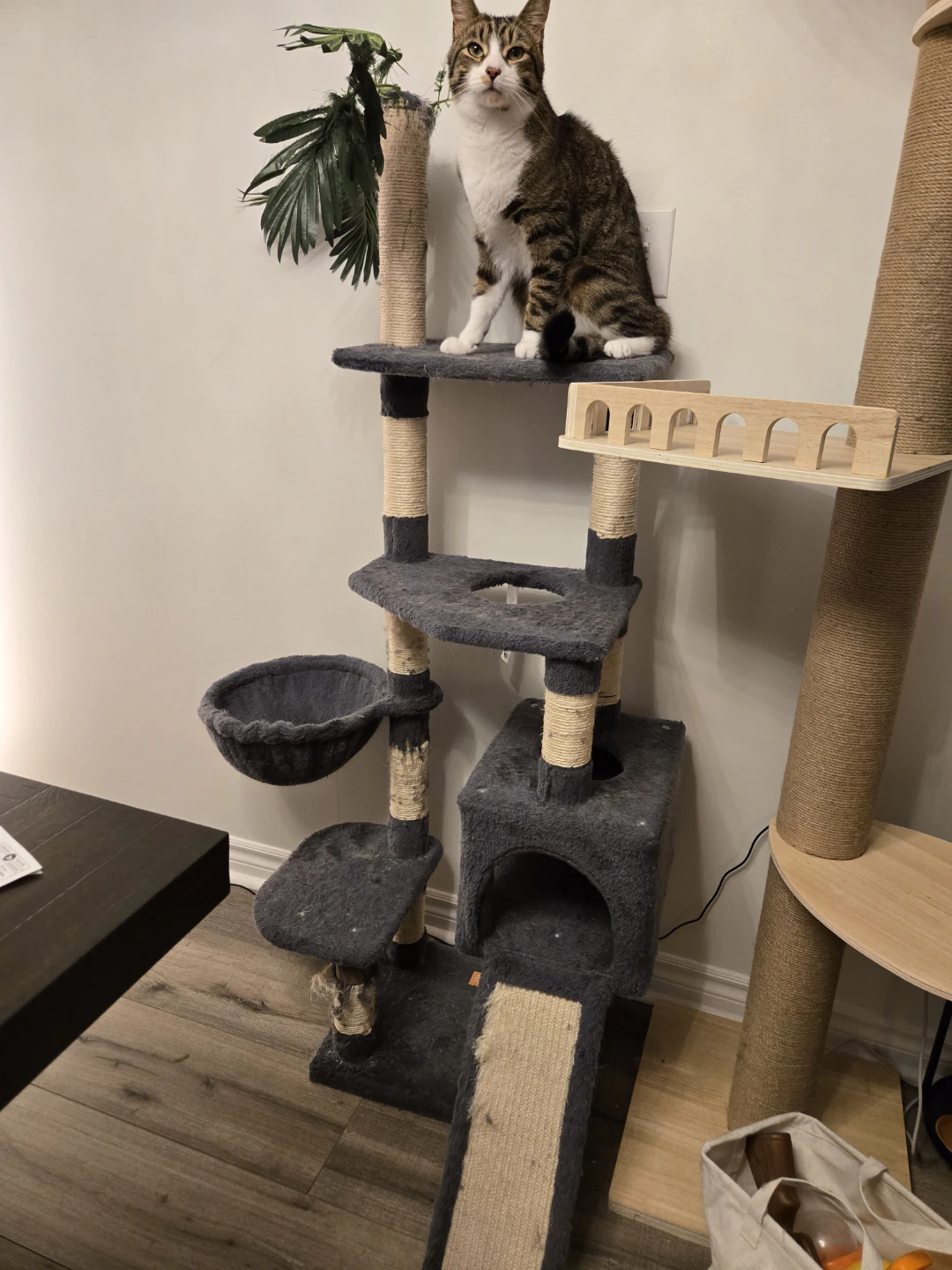 Multi-Level Cat Tree with Scratching Posts