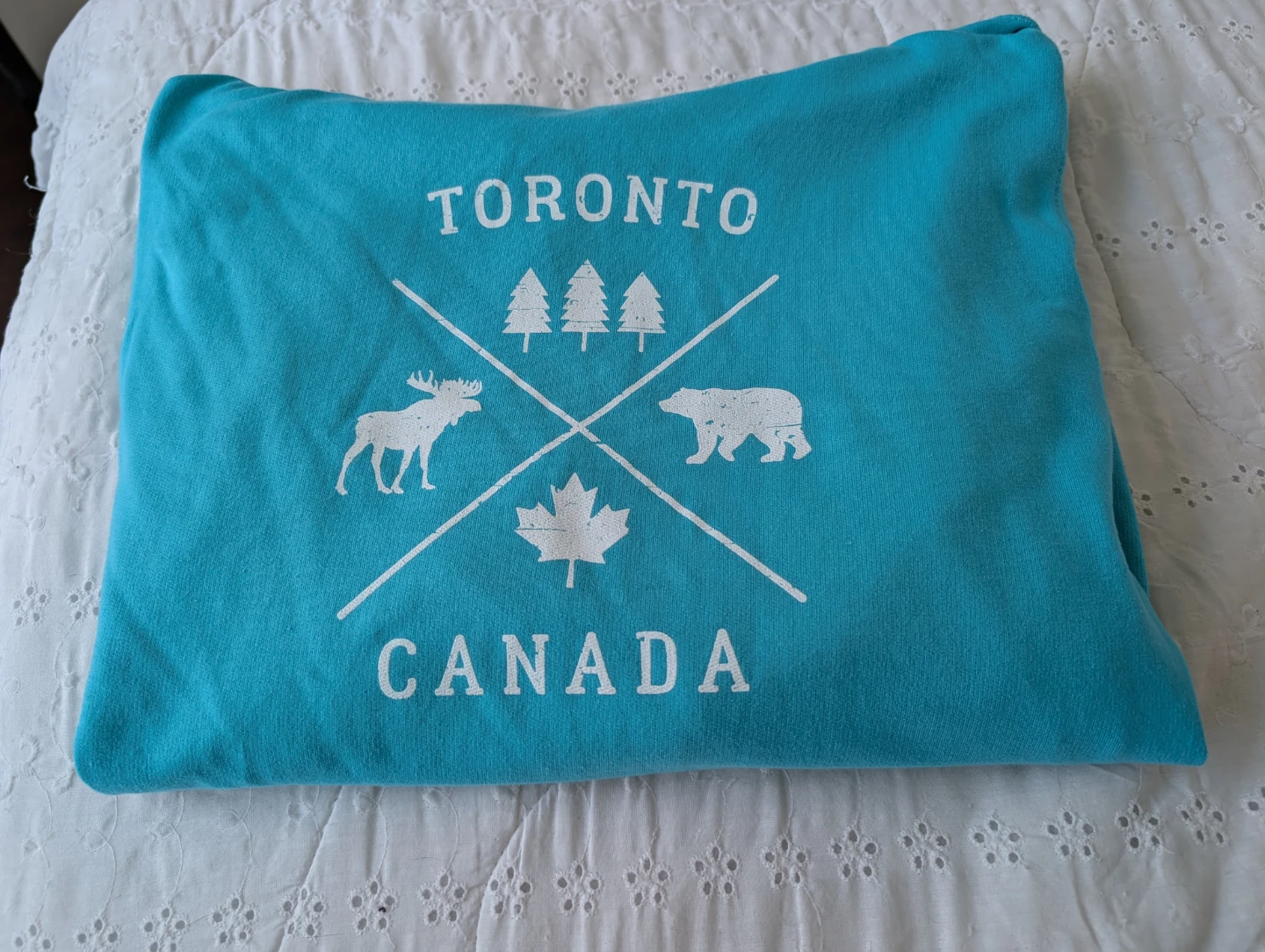 Turquoise Toronto Canada Souvenir Hoodie - photo 4