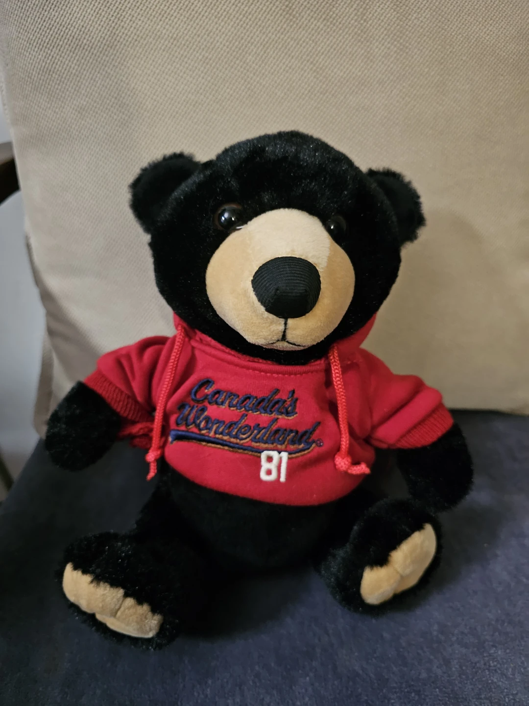 Canada's Wonderland The Petting Zoo Black Bear Plush