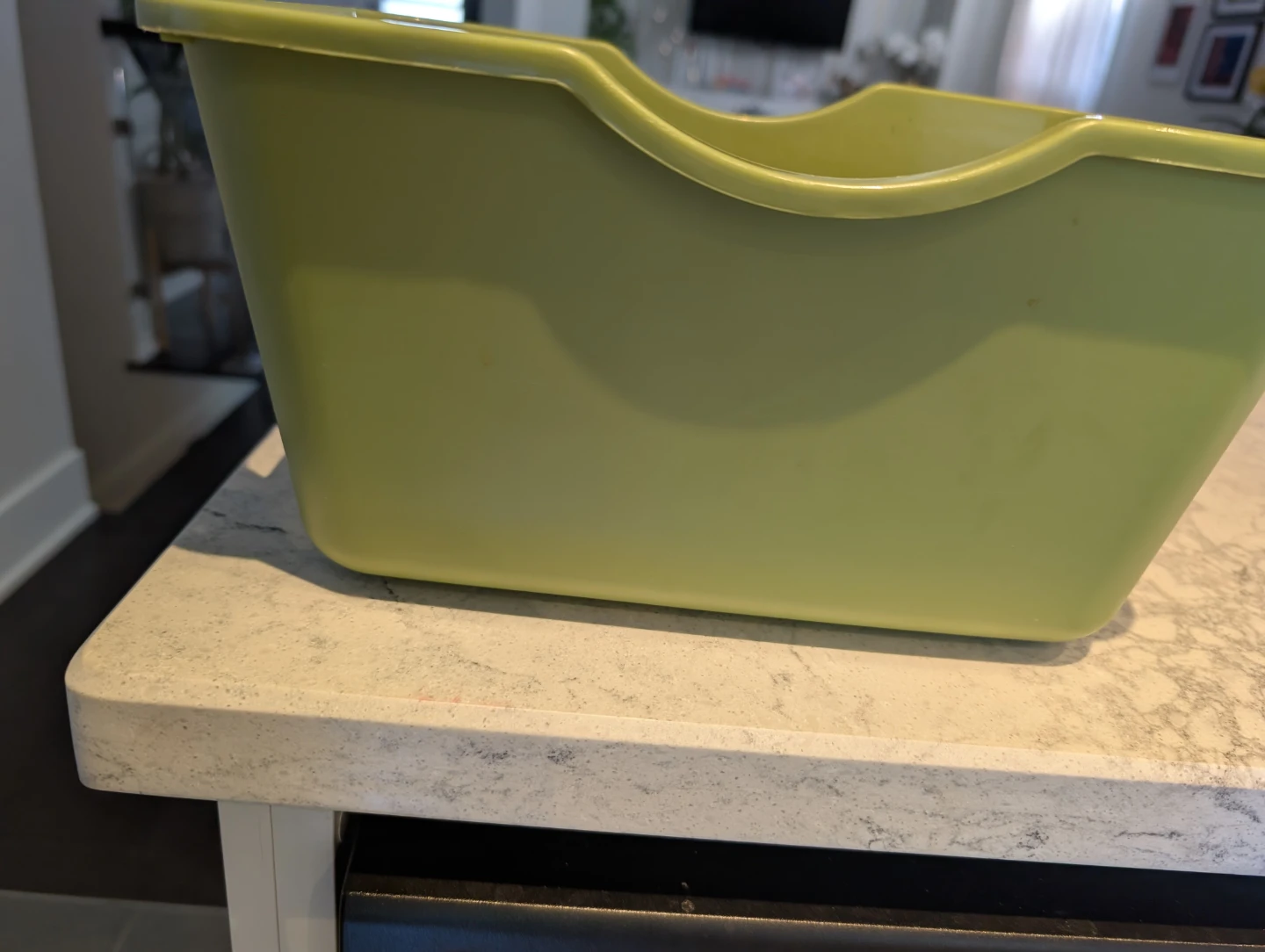 Green Plastic Storage Bin