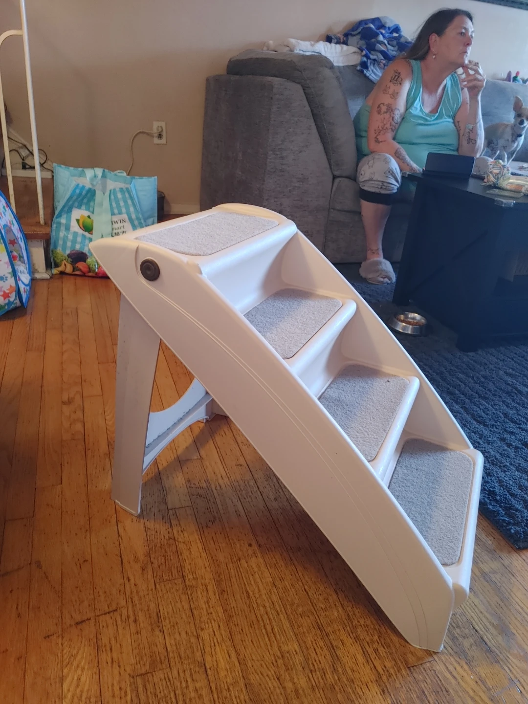 Pet Stairs 4-Step
