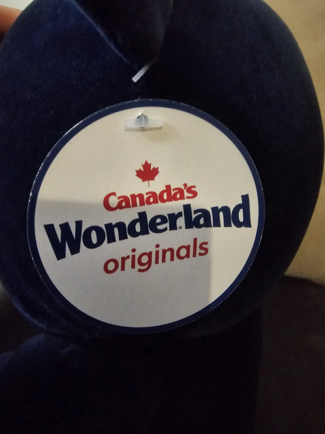 Canada's Wonderland Huggy Huggables Blue Bear - photo 3