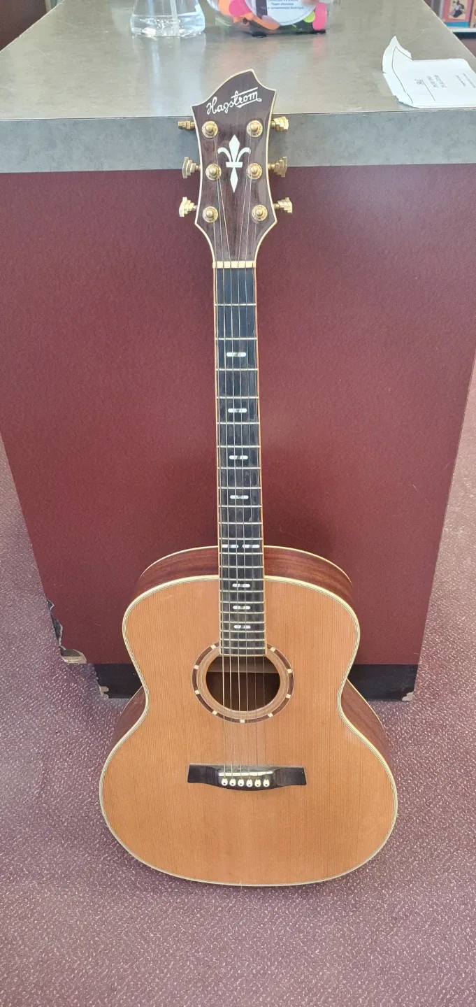 Hagstrom G25 Acoustic Guitar