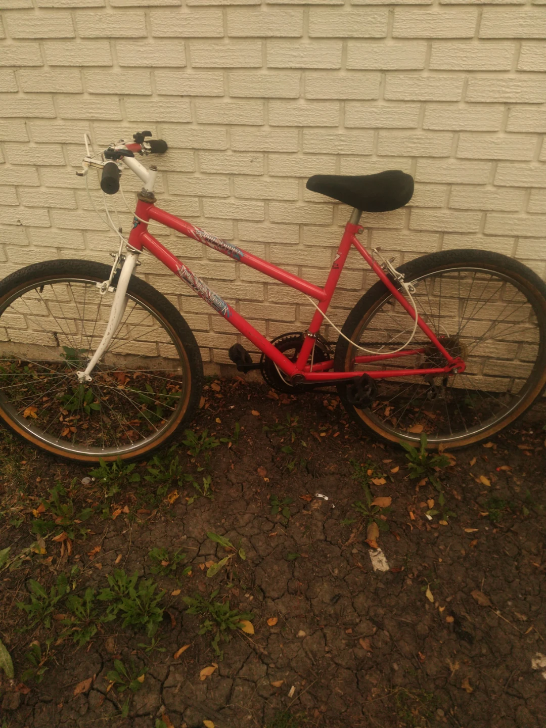 Road Runner Mountain Bike