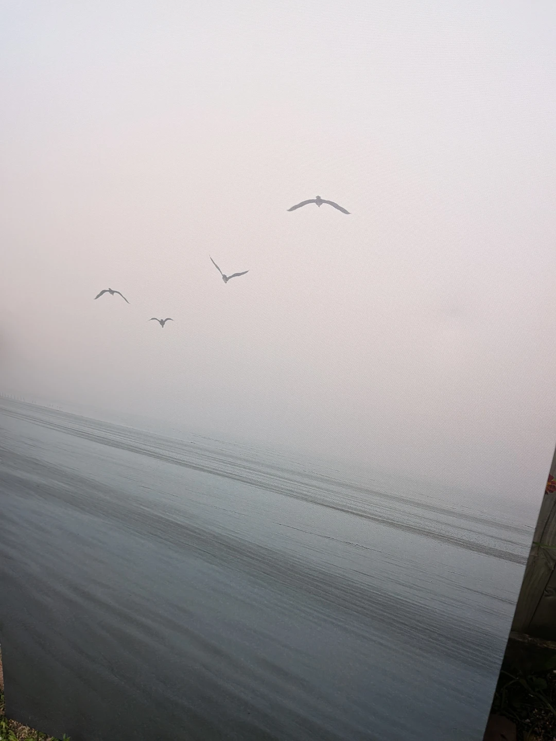 Canvas Print - Foggy Beach with Birds - photo 3