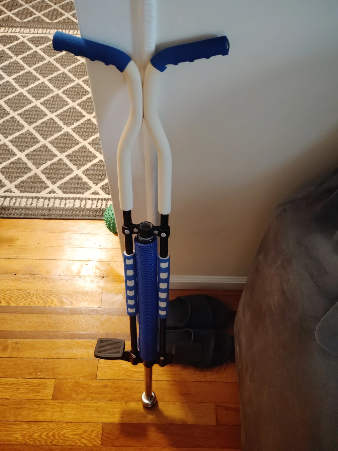 Pogo stick