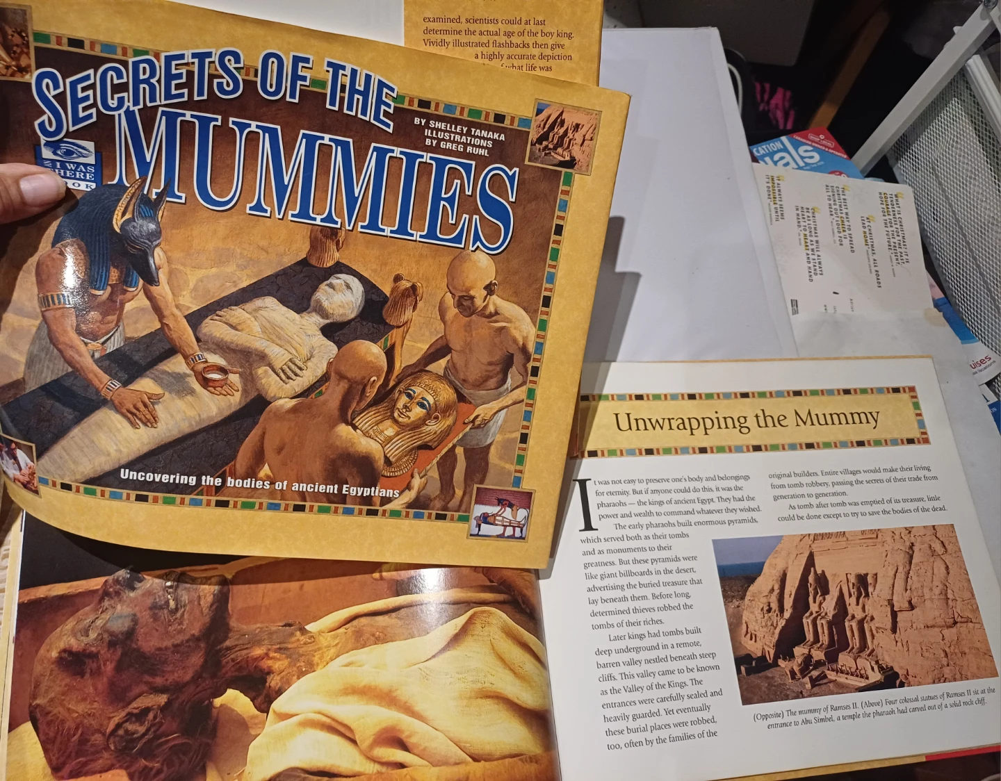 🏈 Secrets of the Mummies by Shelley Tanaka - photo 5