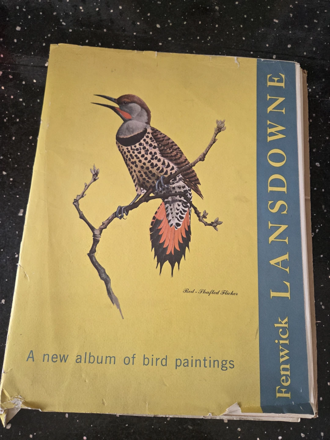 Fenwick Lansdowne Bird Paintings Portfolio