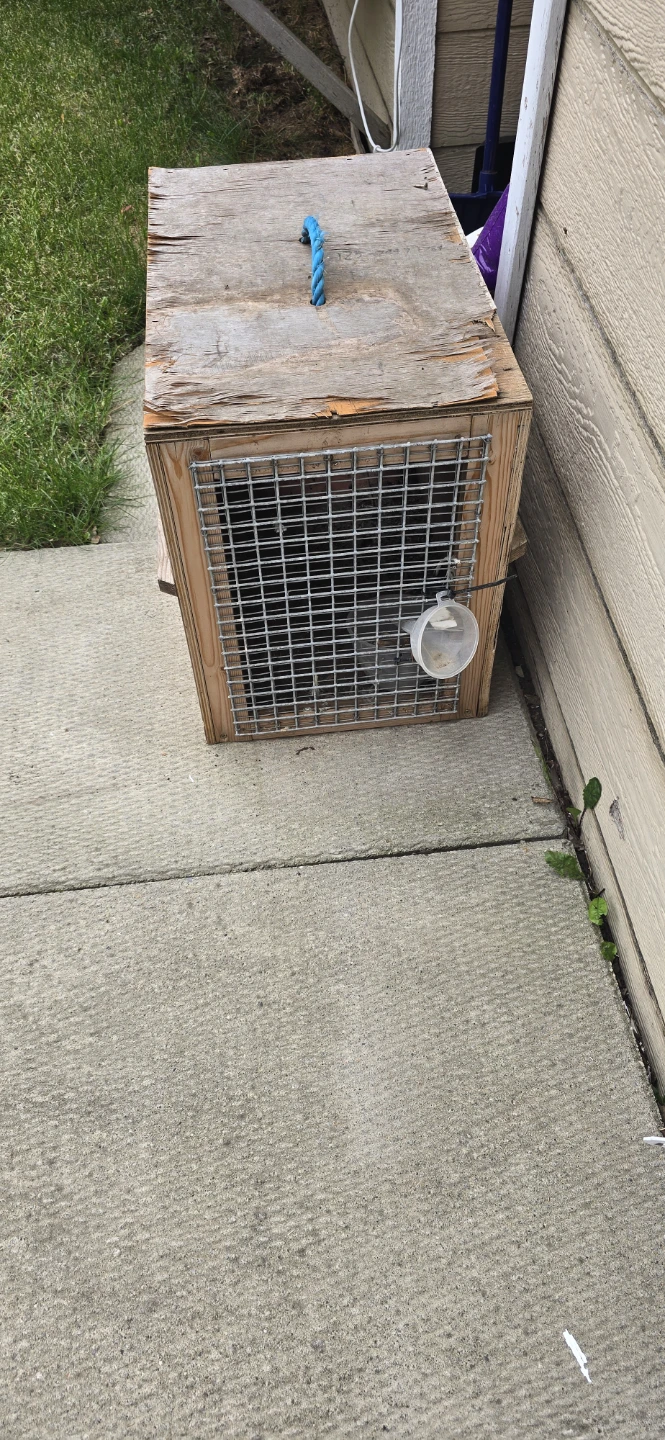 Handmade Wooden Pet Crate