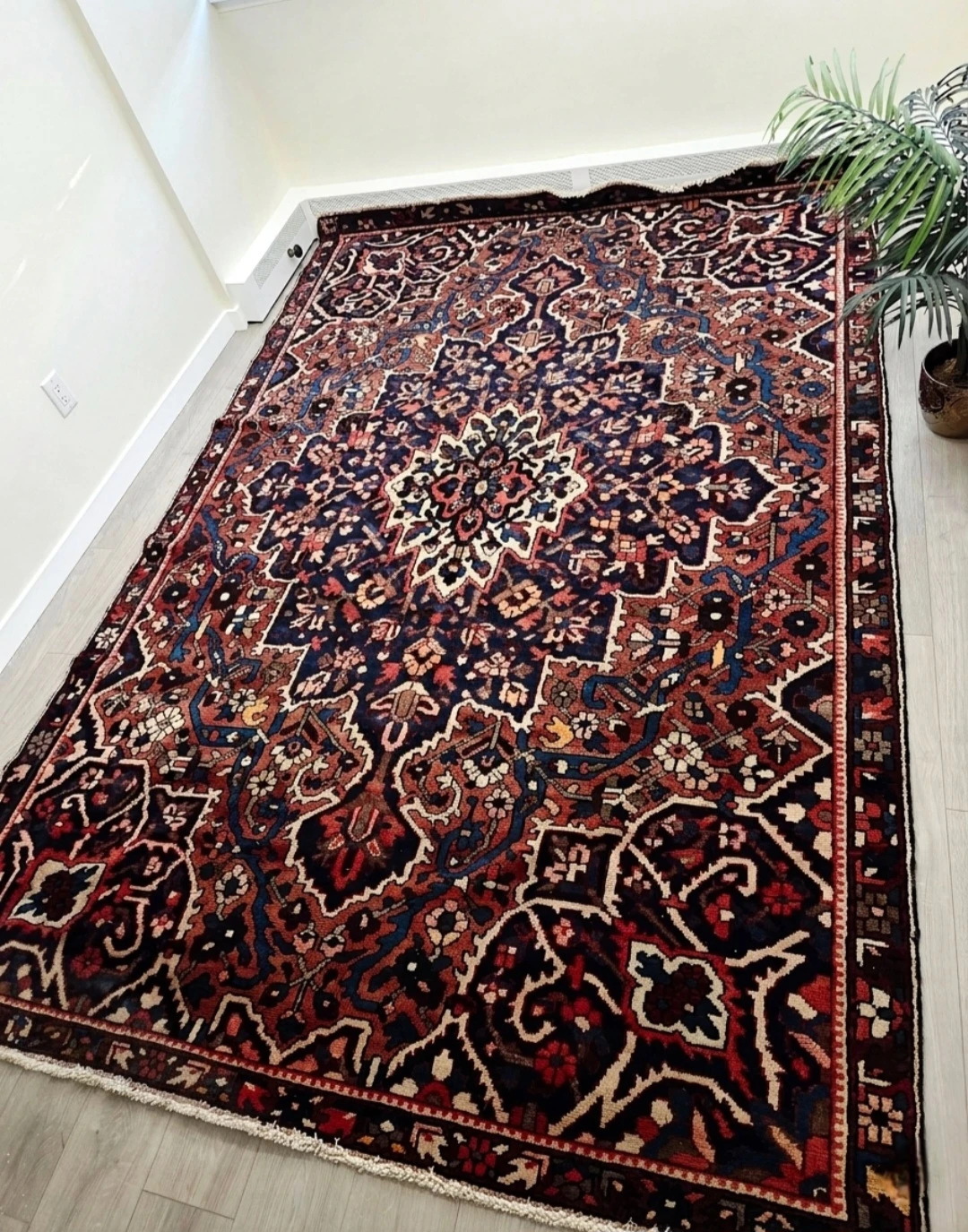 Authentic Persian Hand Knotted Wool Bakhtiyar Area Rug - photo 2