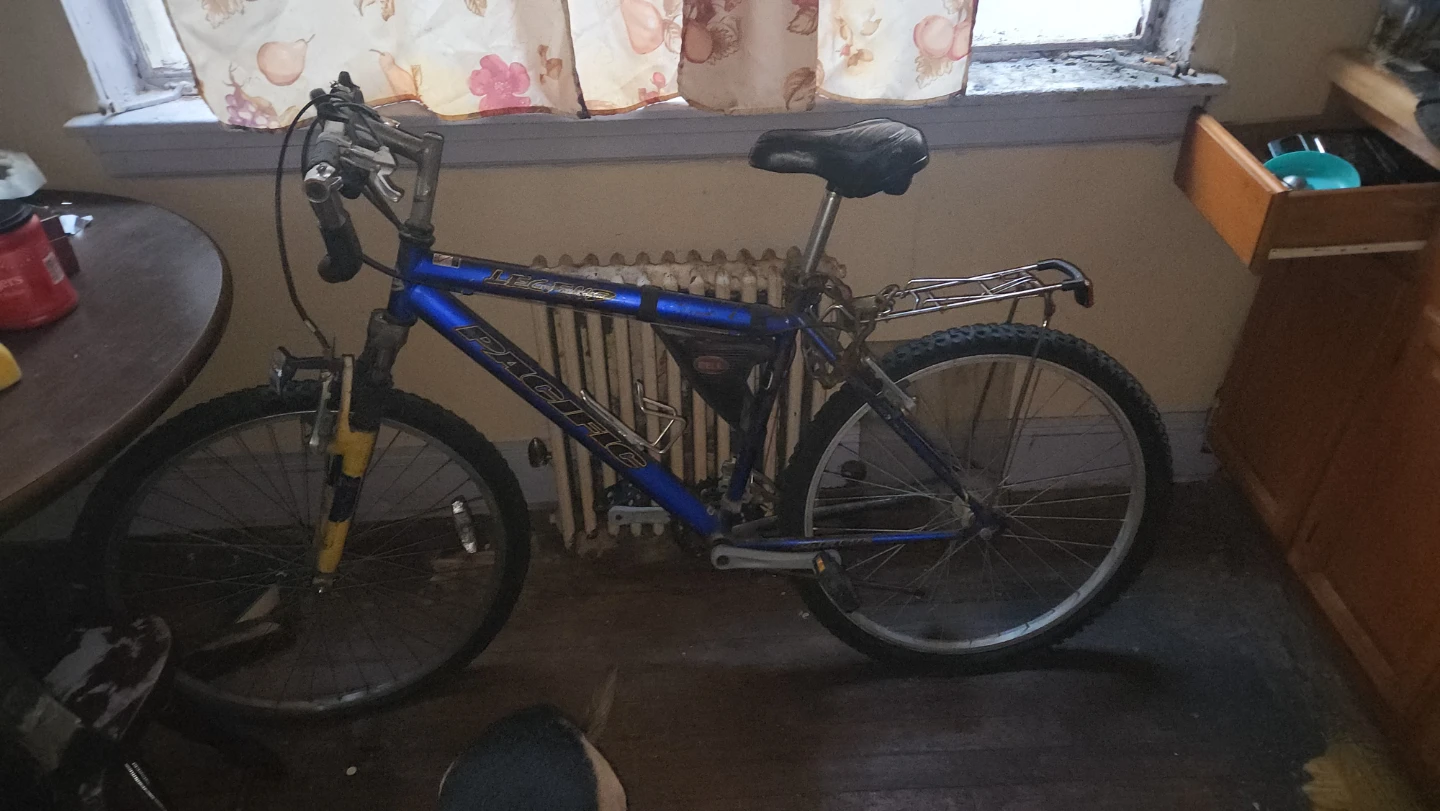 Pacific Legend Mountain Bike