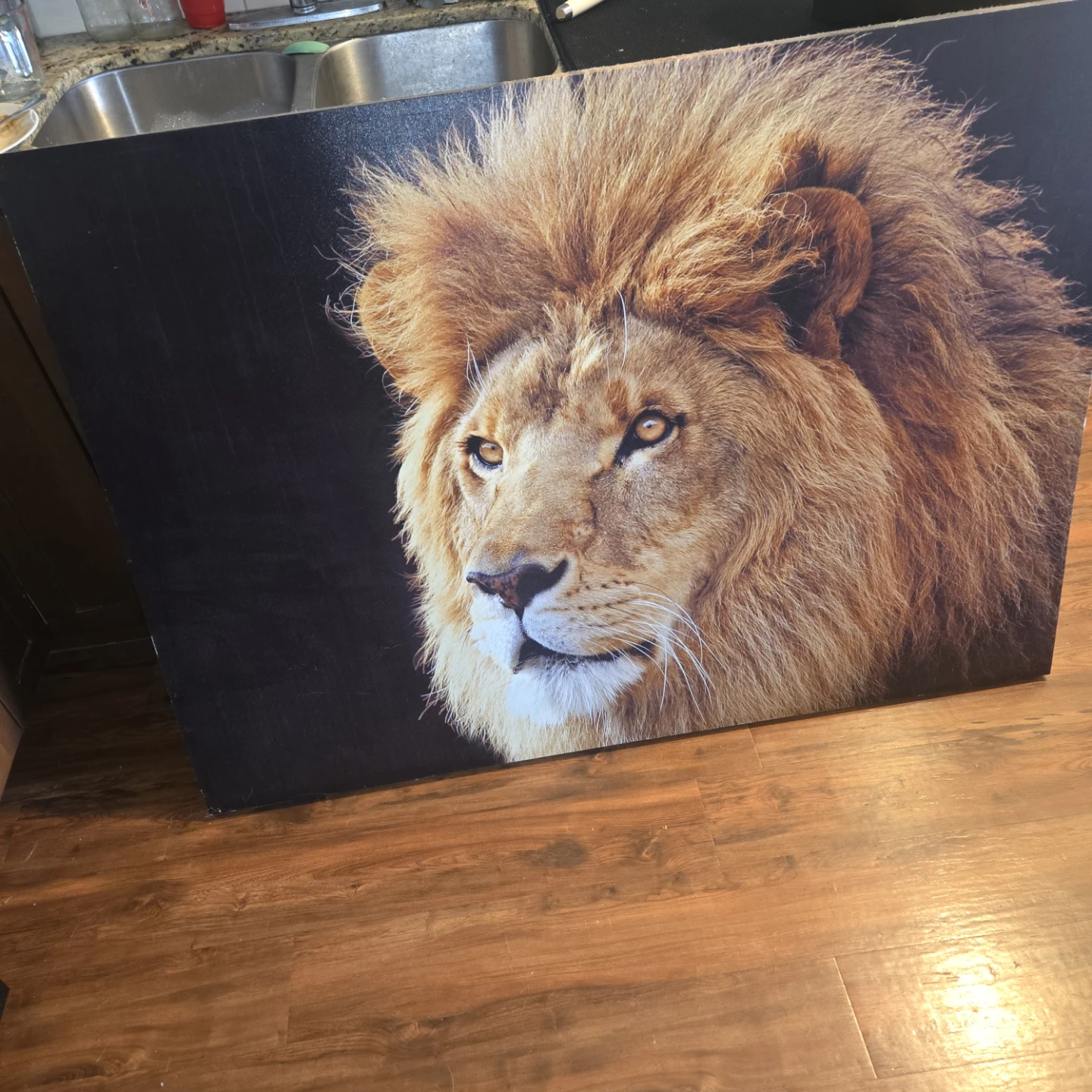 Lion Head Wall Art Canvas Print
