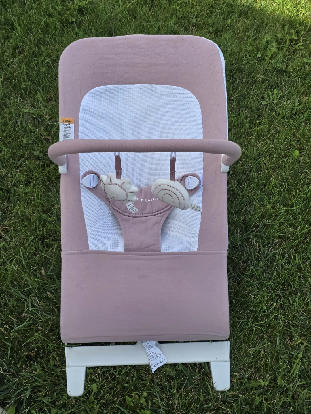 Baby Delight Baby Bouncer - photo 2