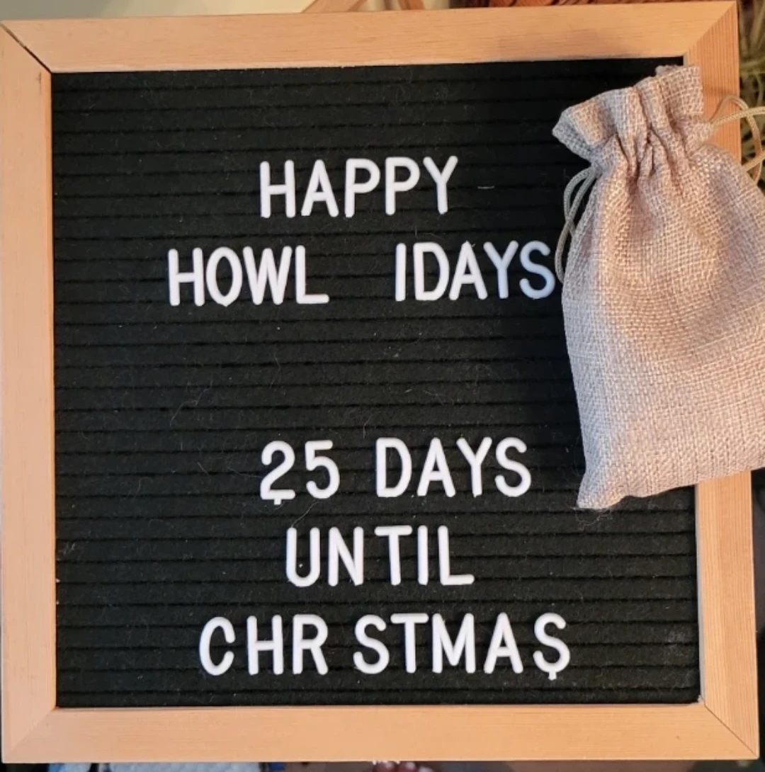 Black Felt Letter Board w Letters