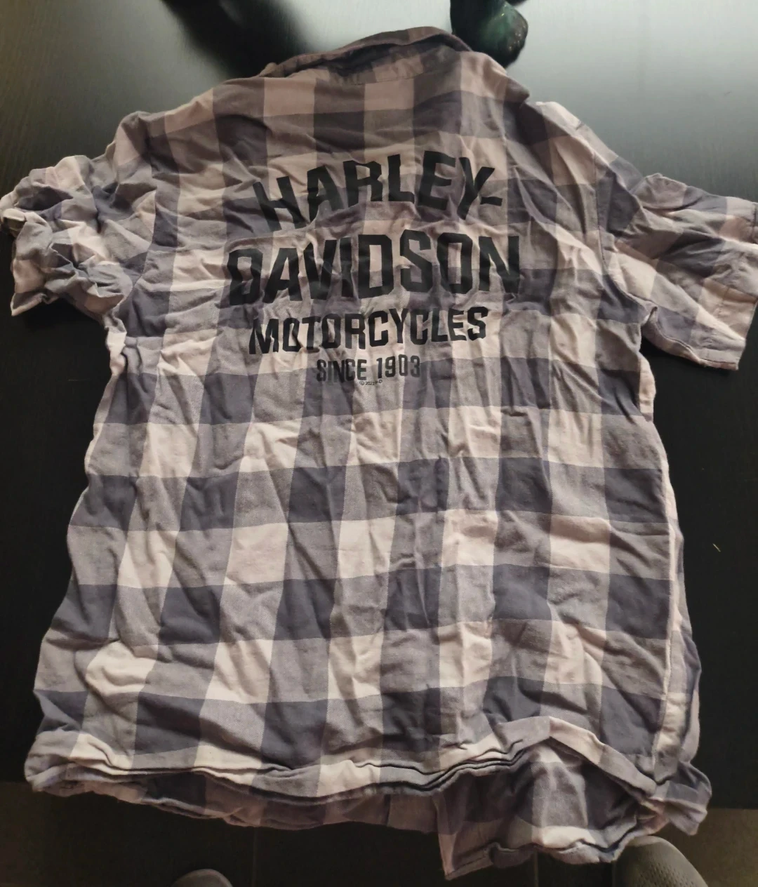 Kids Harley-Davidson plaid button-down shirt, size 12/14 - photo 2