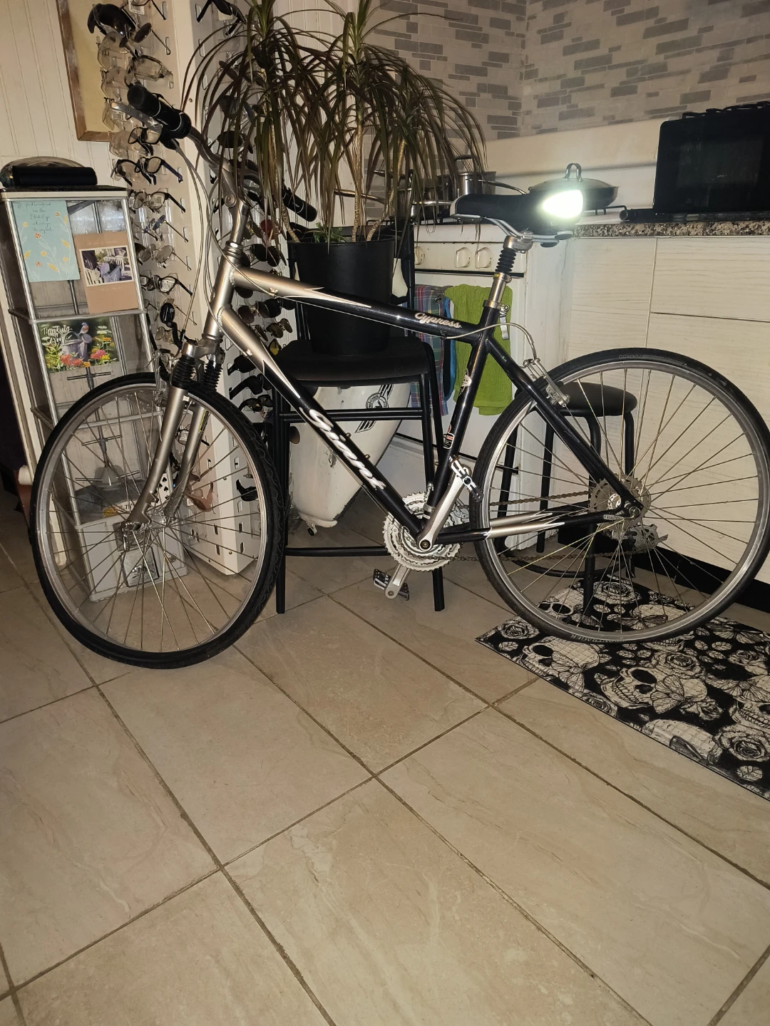 Giant Cypress Hybrid Bicycle