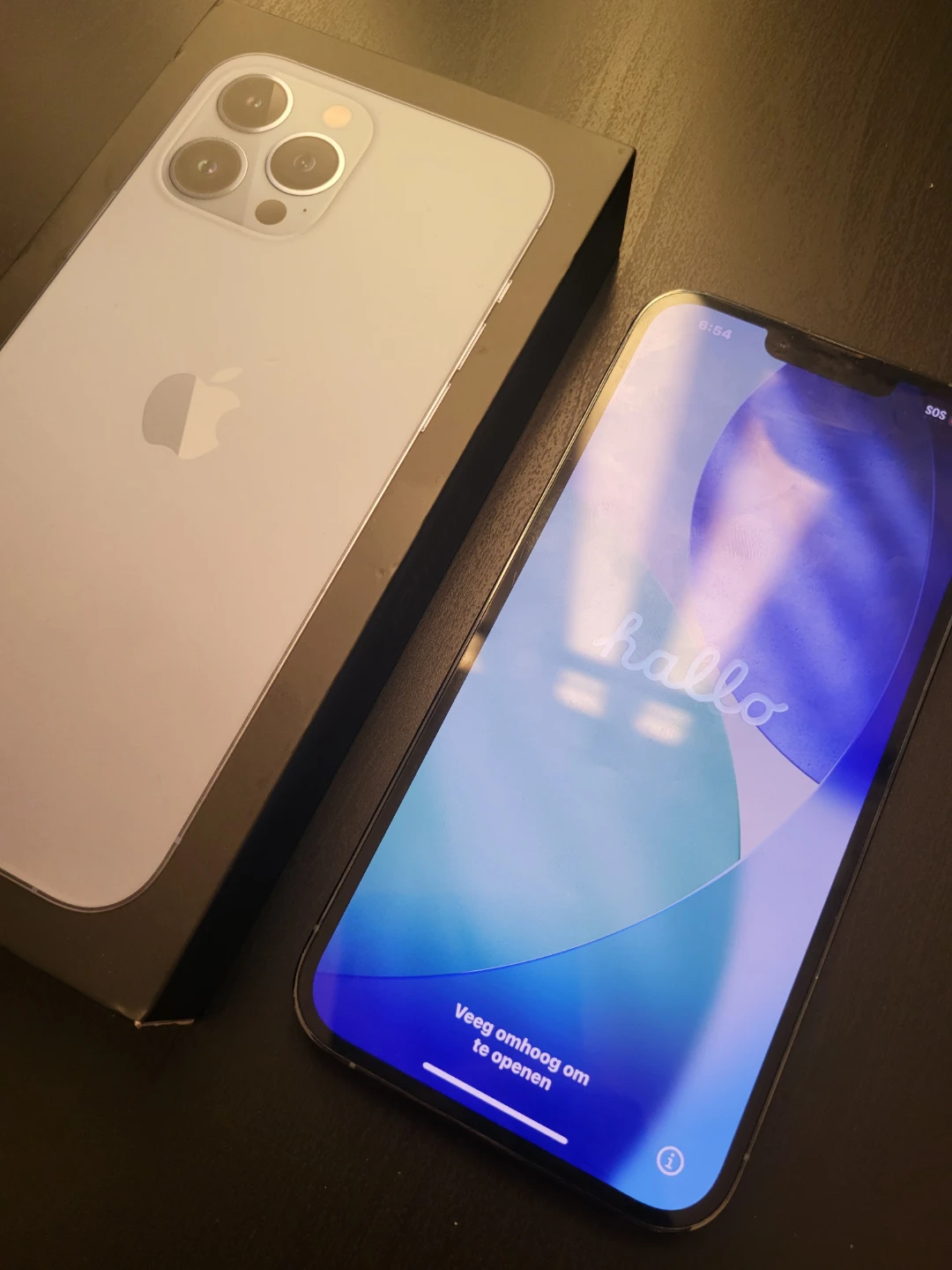 iPhone 13 Pro Max