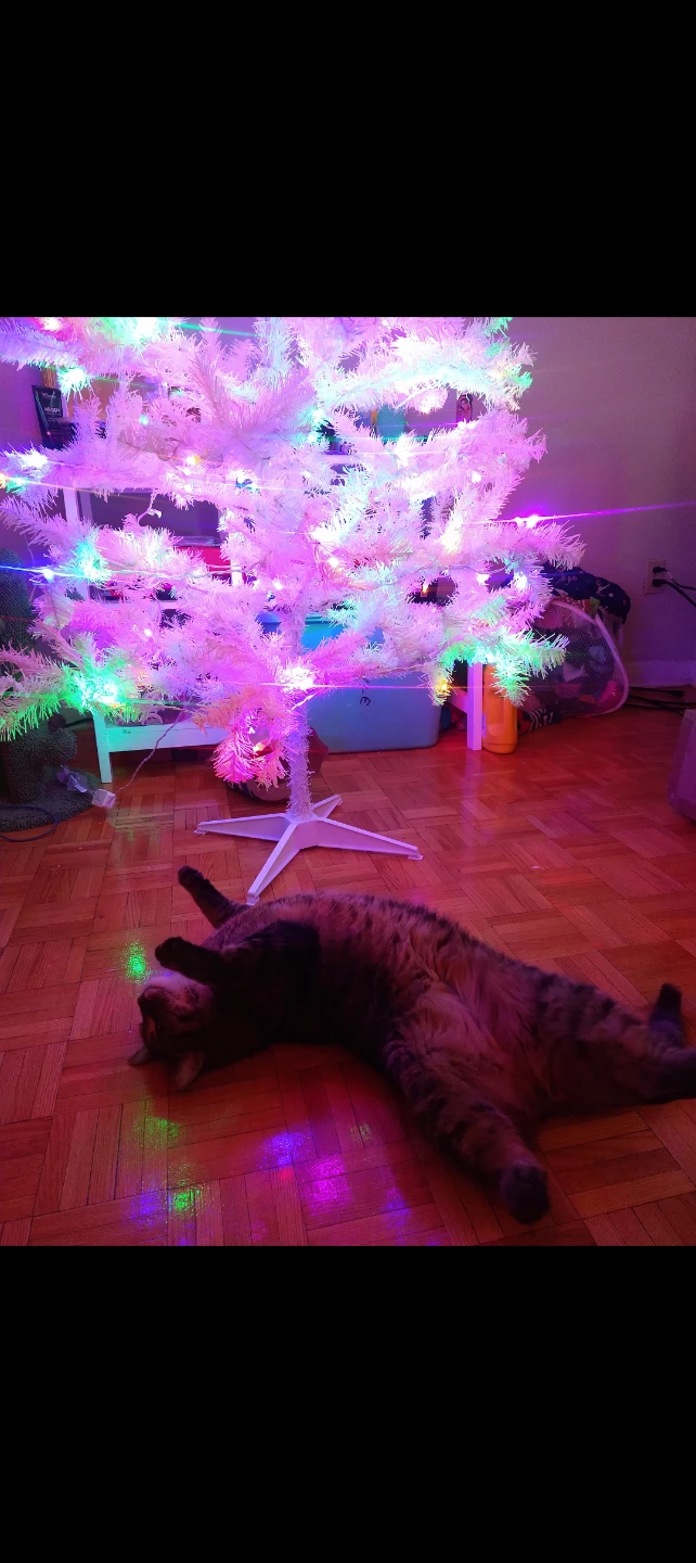 6.5' Pre-Lit LED Sonoma Christmas Tree - photo 3