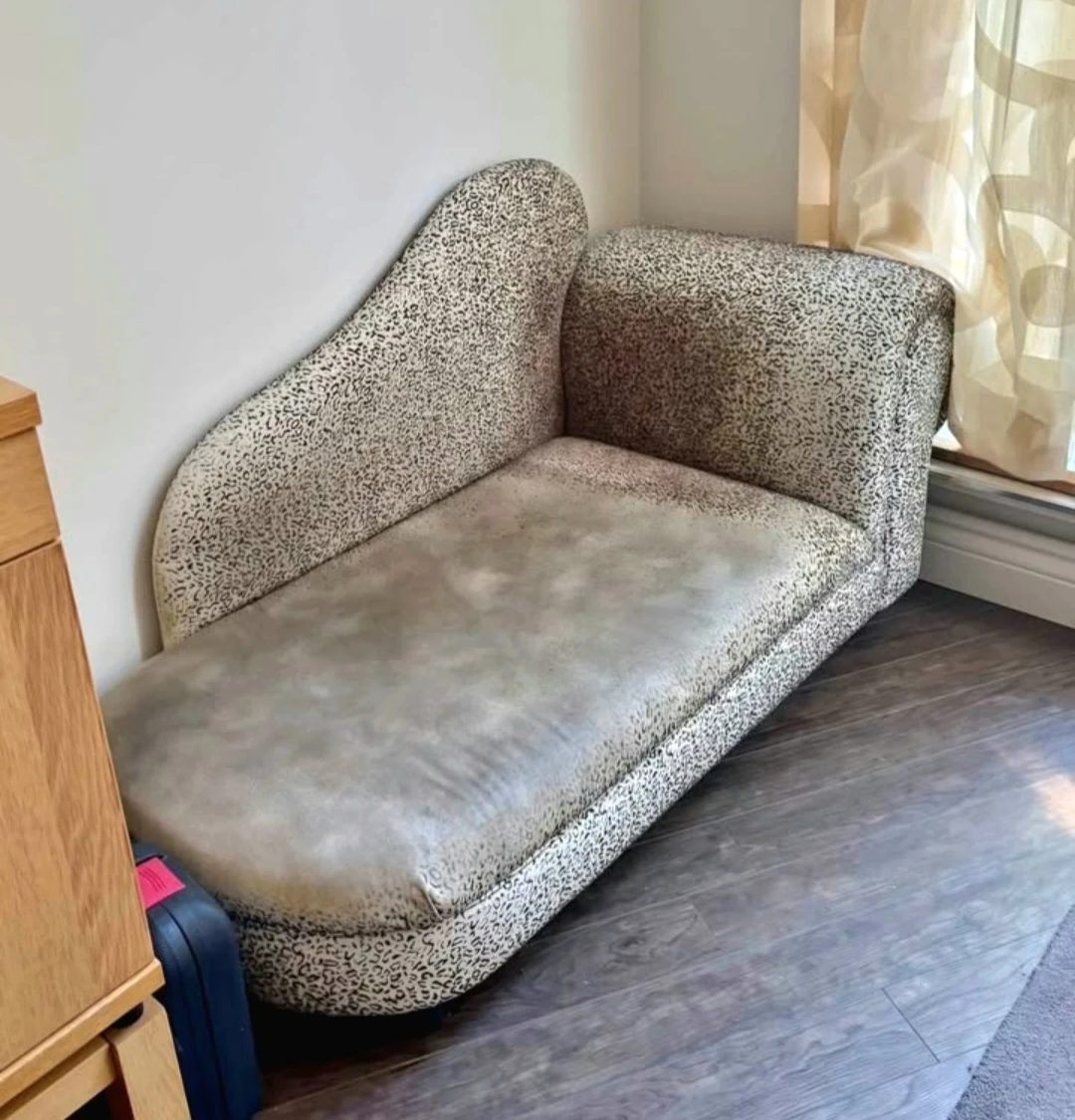 Free Medium/Large Pet Lounge