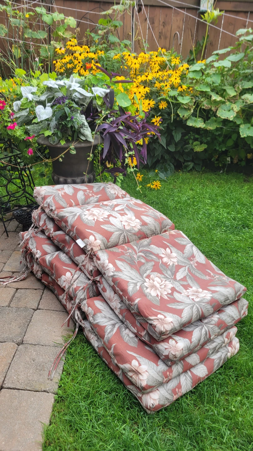 Outdoor Patio Cushions -$25 all