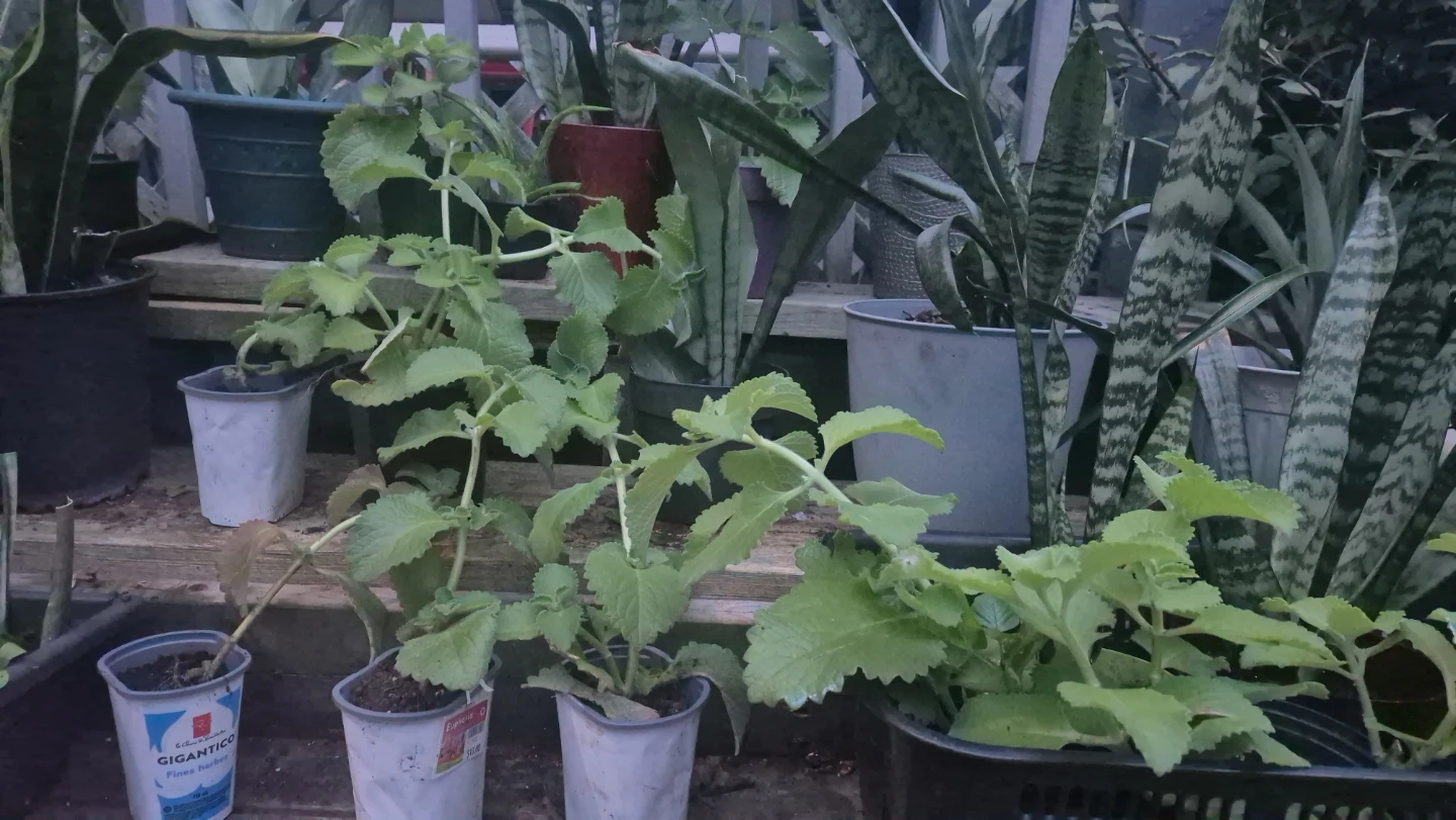 Home and Garden - photo 4