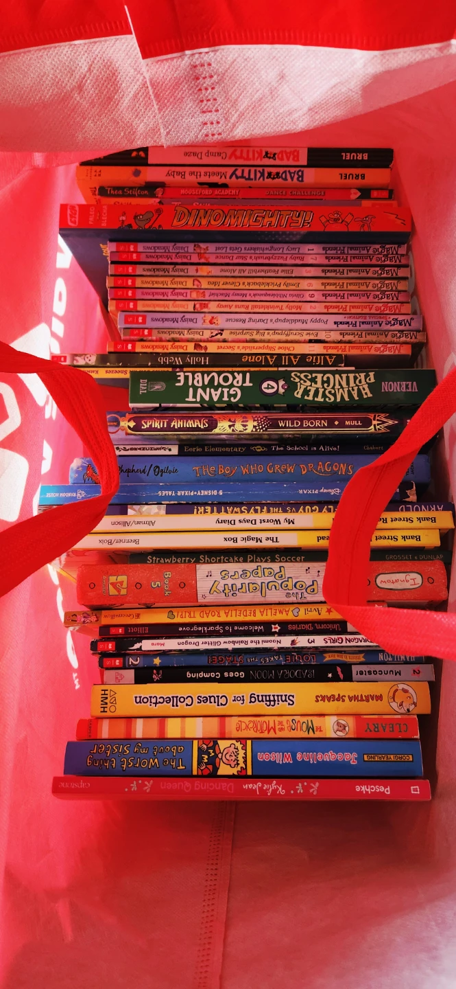 Kids book bundle (35 books)