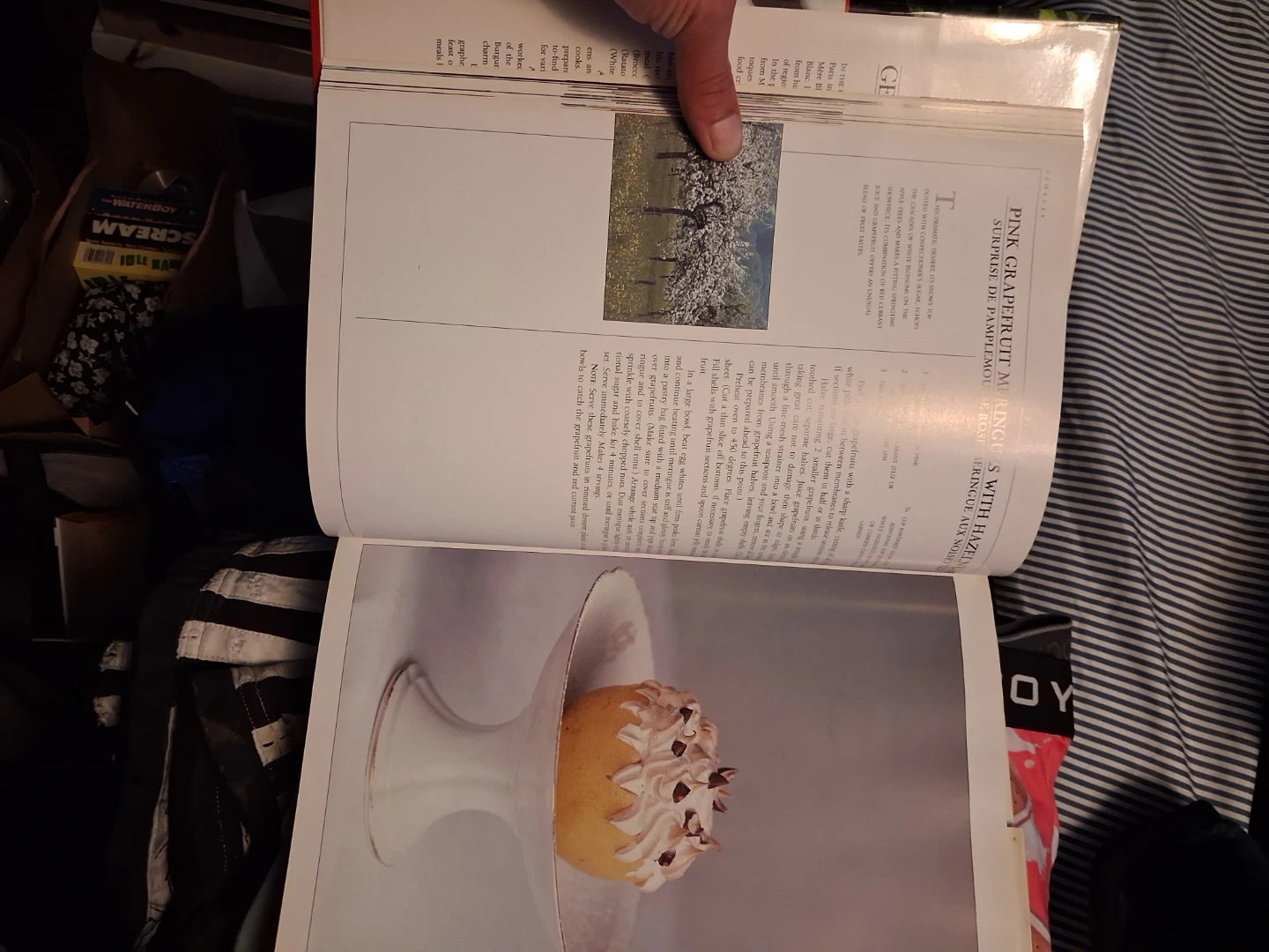 The Natural Cuisine of Georges Blanc Cookbook - photo 2