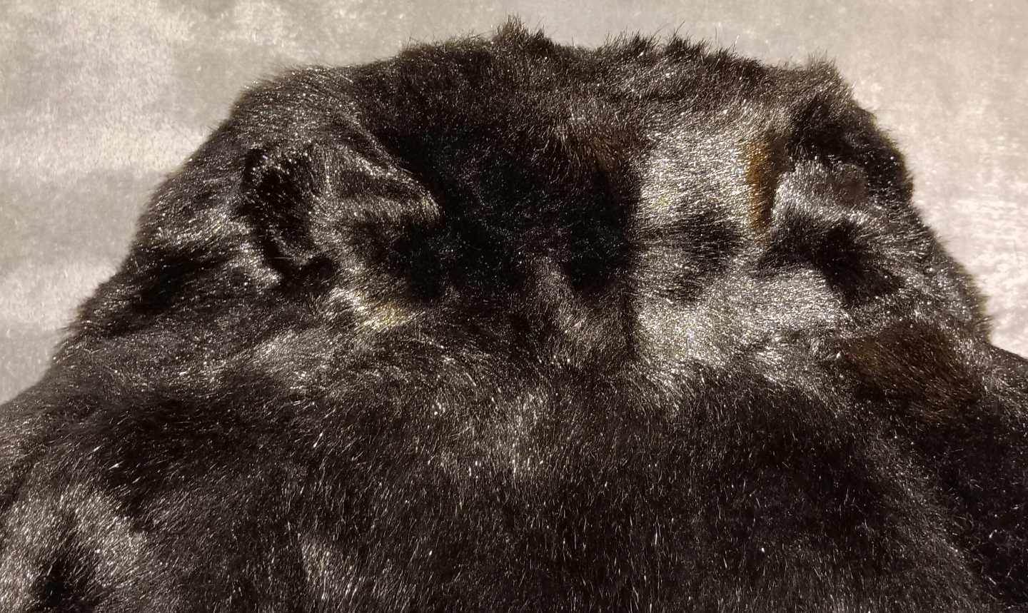 Vintage 60s Black Borgana Faux Fur Coat MOB WIFE Glam - photo 5