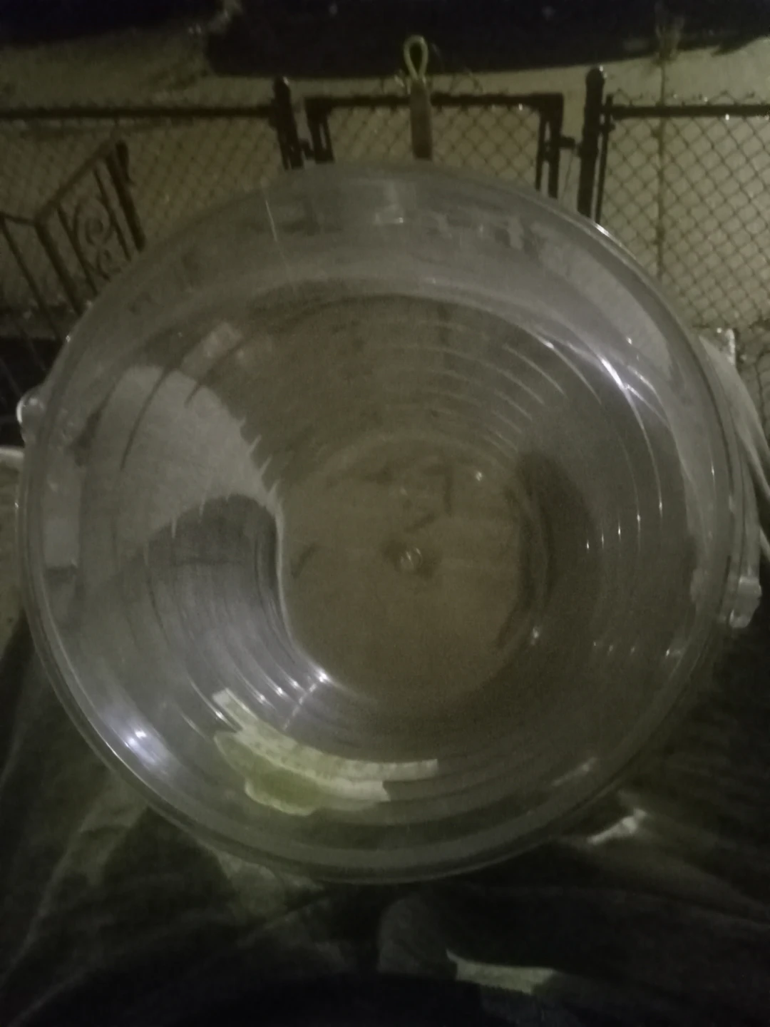 Patron Tequila Clear Ice Bucket