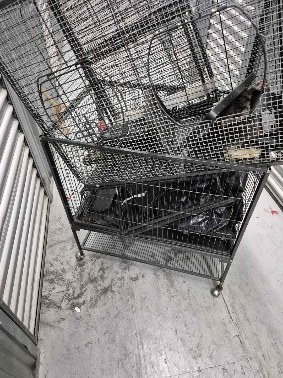 Ferret Cages