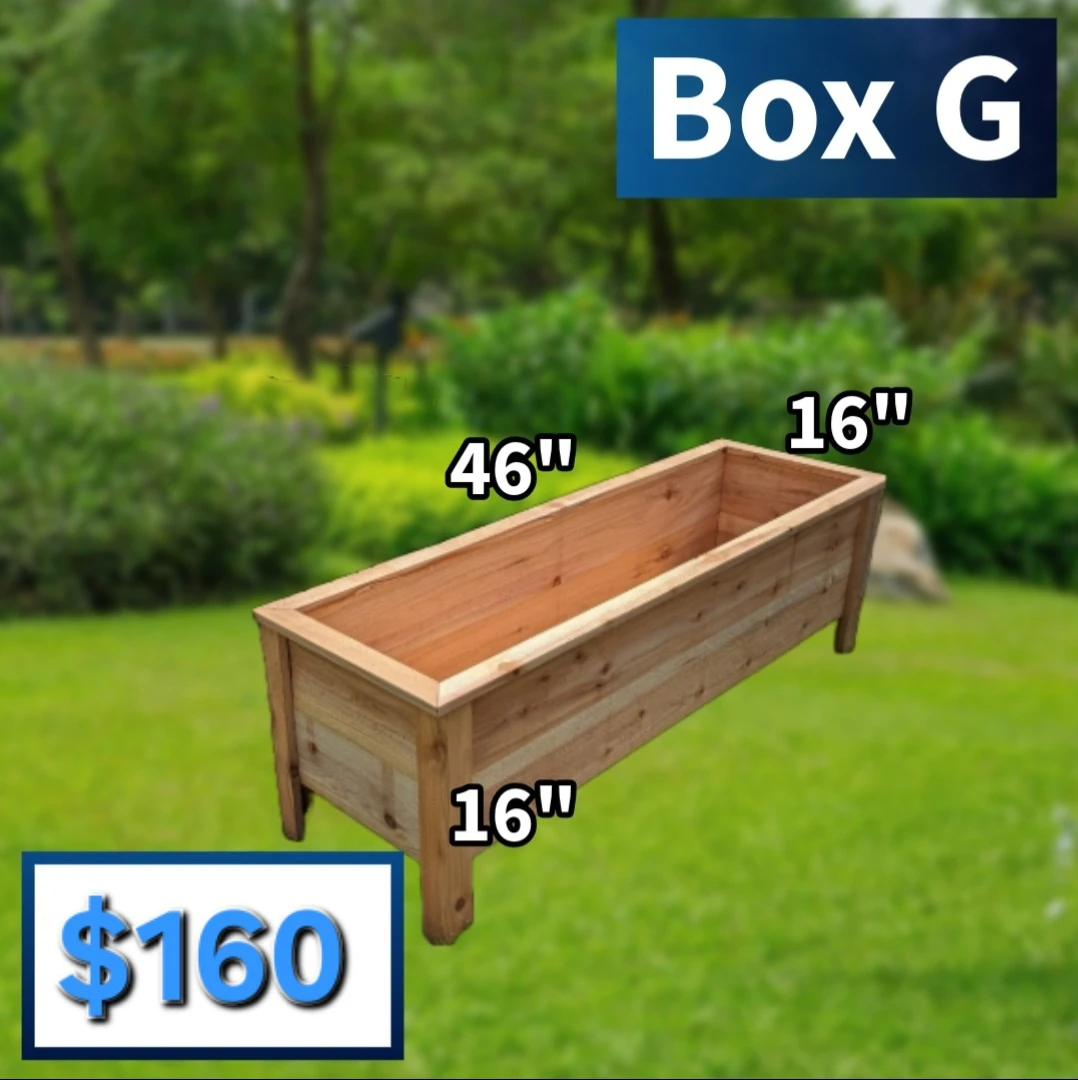 Cedar Planter Boxes - photo 4
