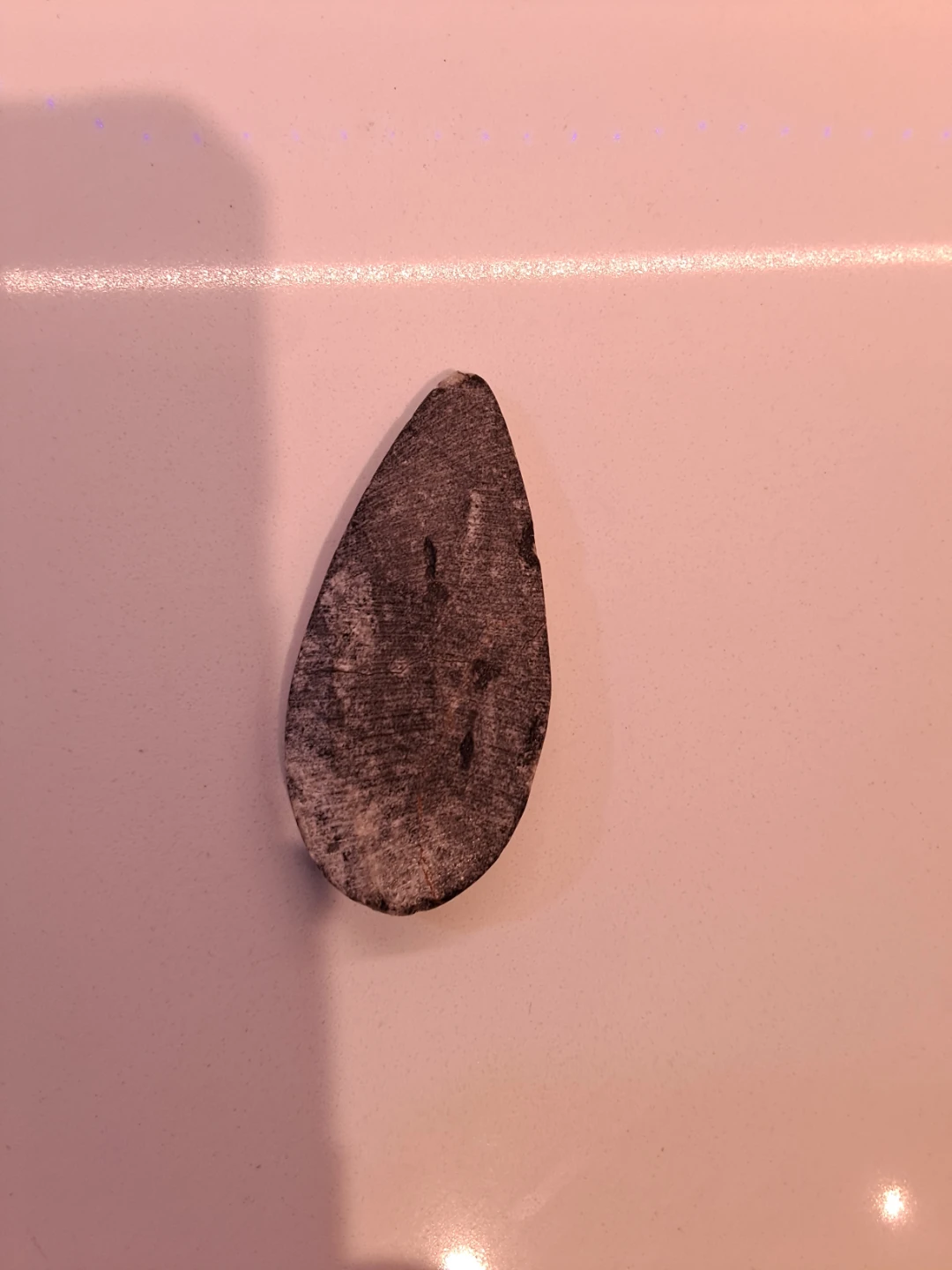 Polished Orthoceras Fossil Stone - photo 2