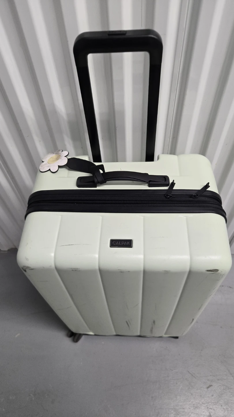 Calpak Hardside Carry-On Luggage
