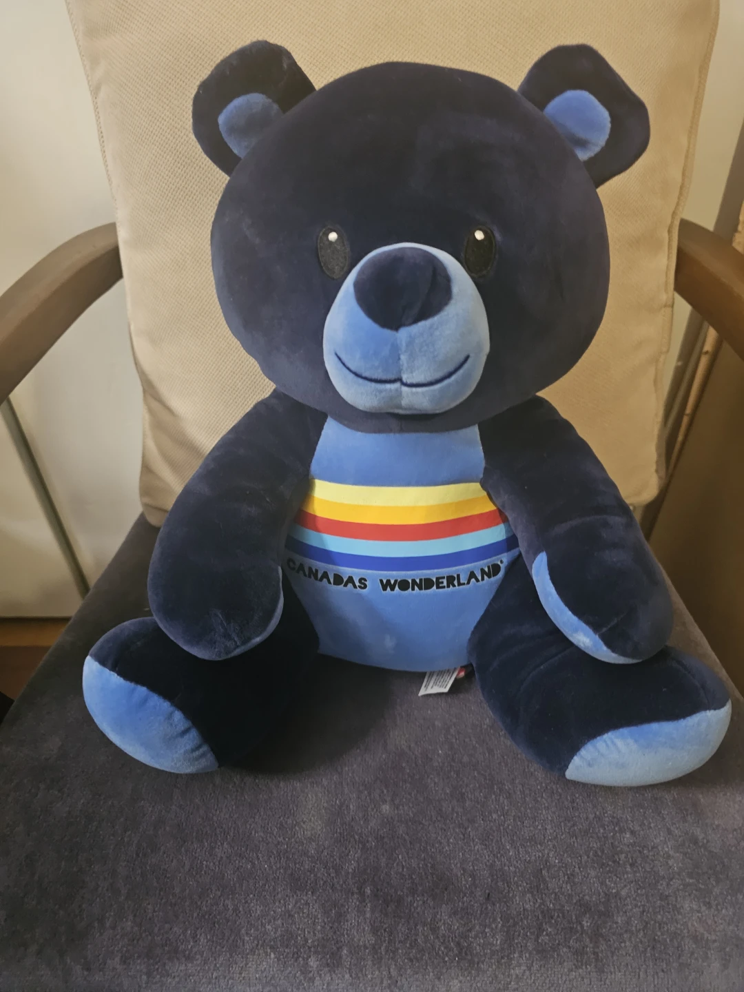 Canada's Wonderland Huggy Huggables Blue Bear
