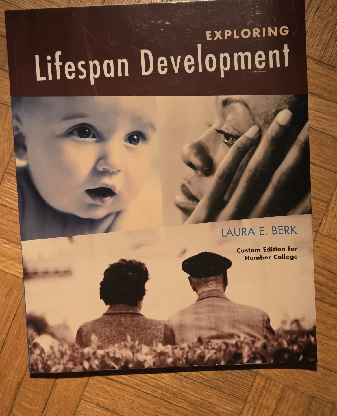 Exploring Lifespan Development - Laura E. Berk