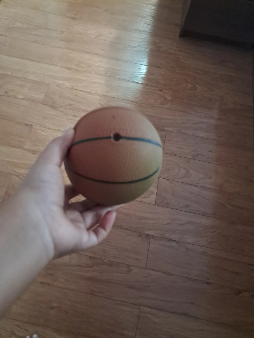 Mini Basketball Toy