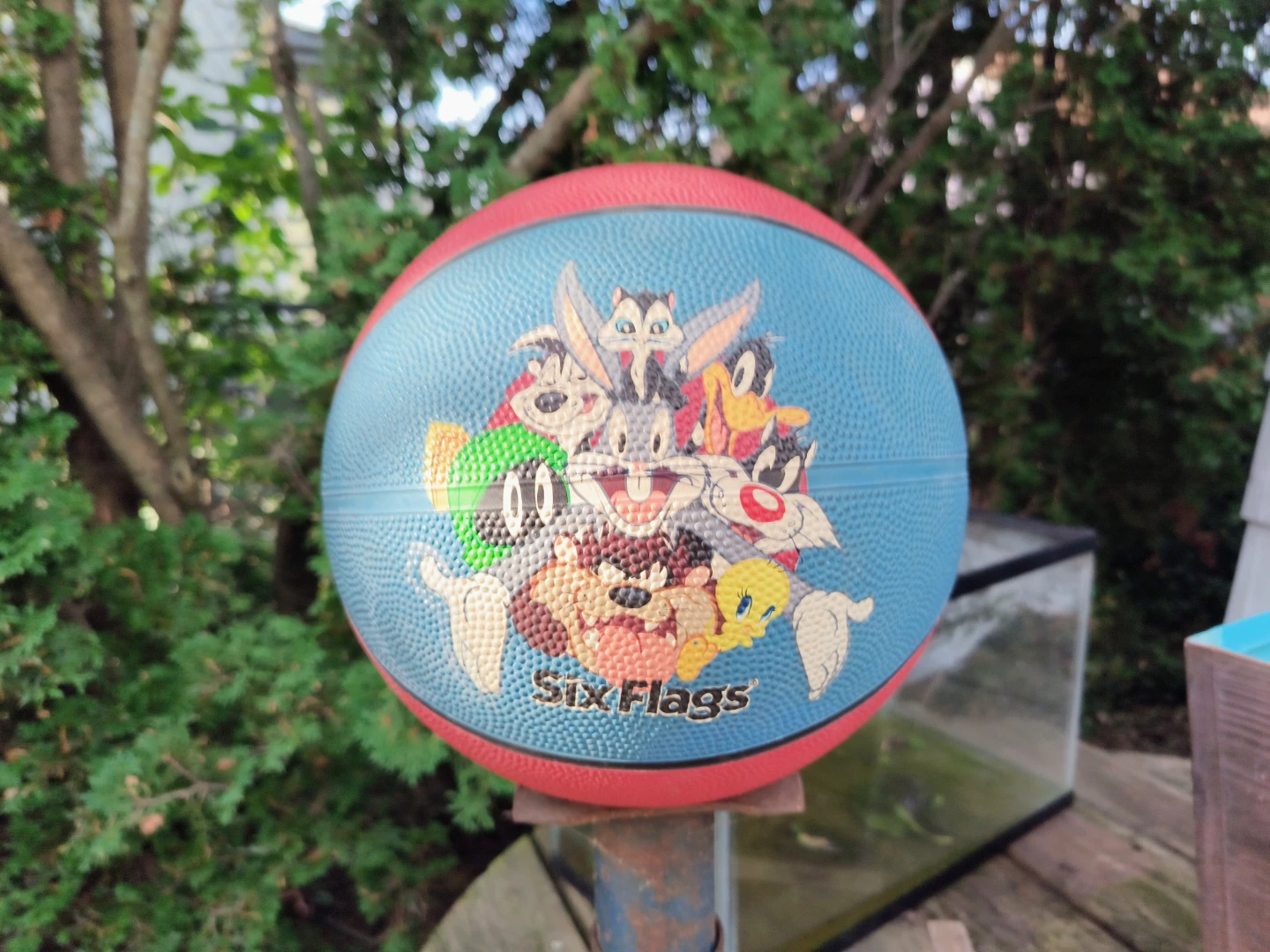 Used Basketball solid filled wir air six flags - photo 2