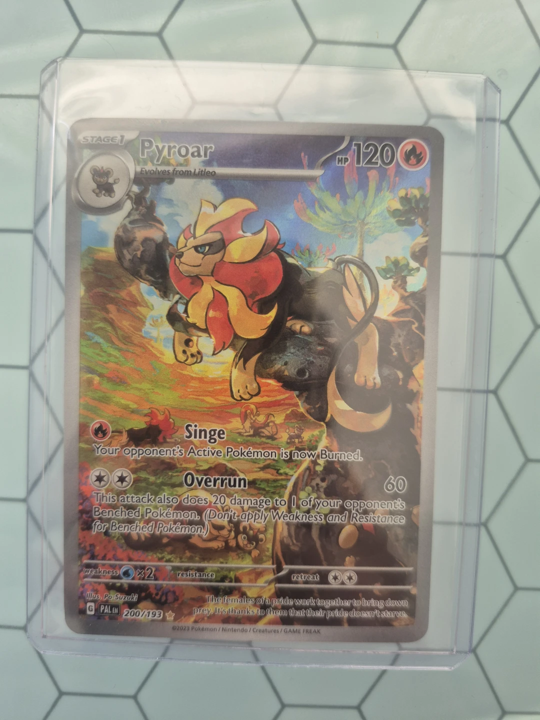 Pokemon Pyroar Illustration Rare 200/193