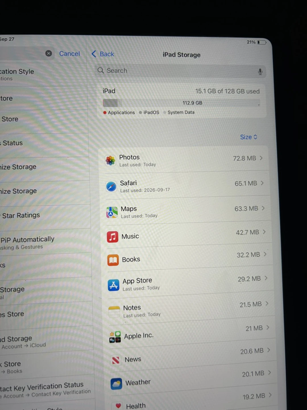 Apple iPad (blue) - photo 3