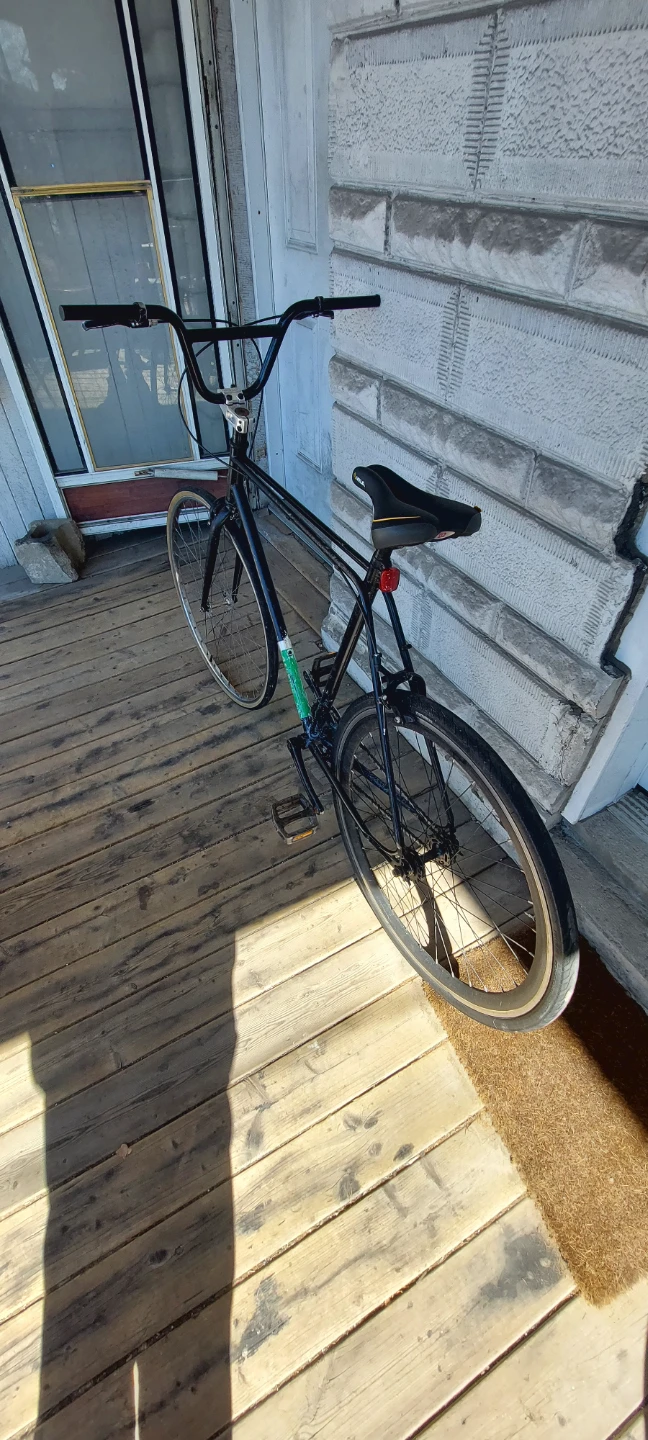 Raleigh Carlton Black Single Speed Bicycle - photo 3