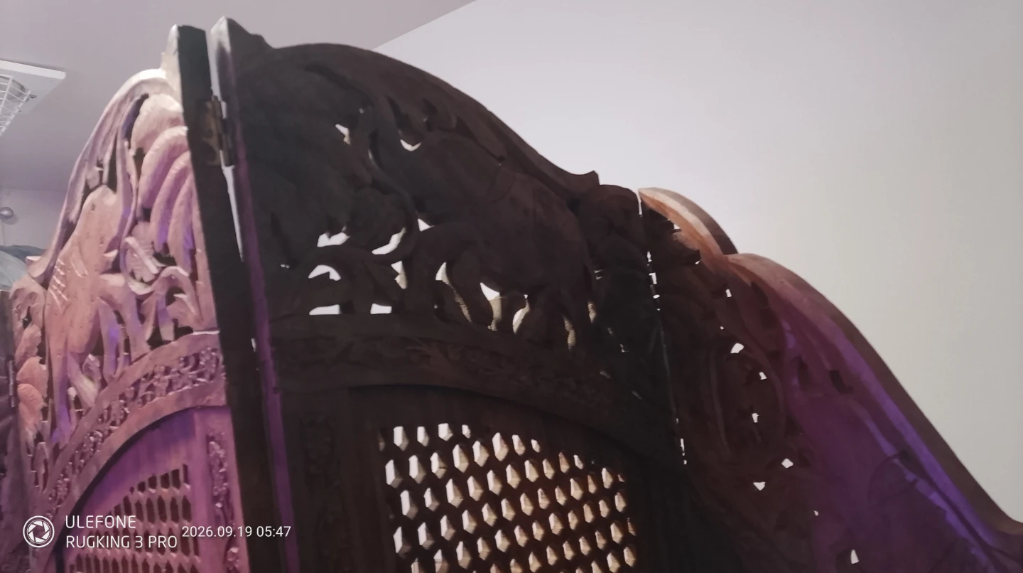 Carved Wooden Room Divider - photo 3