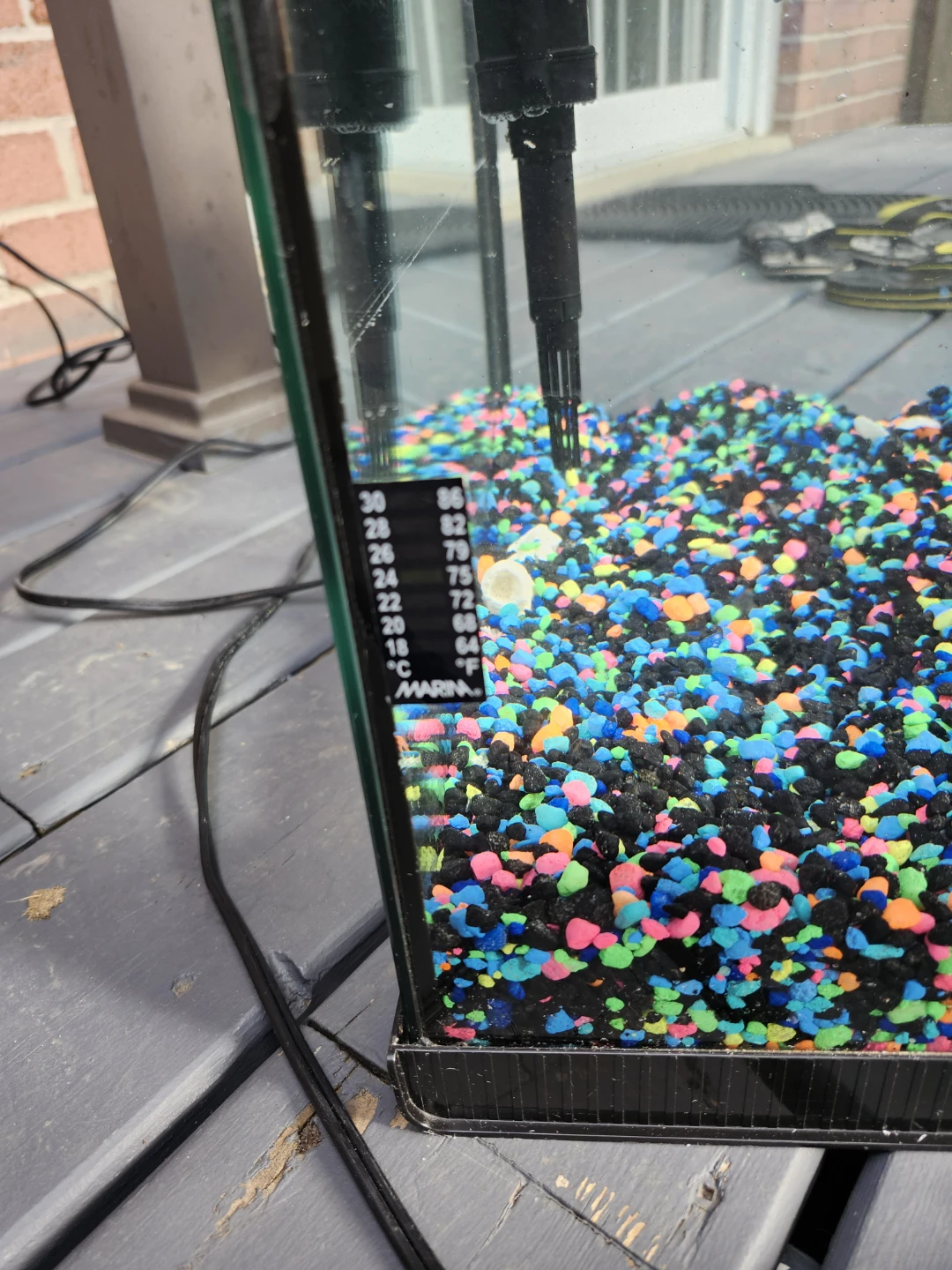 8 Gallon Fish Tank - photo 5