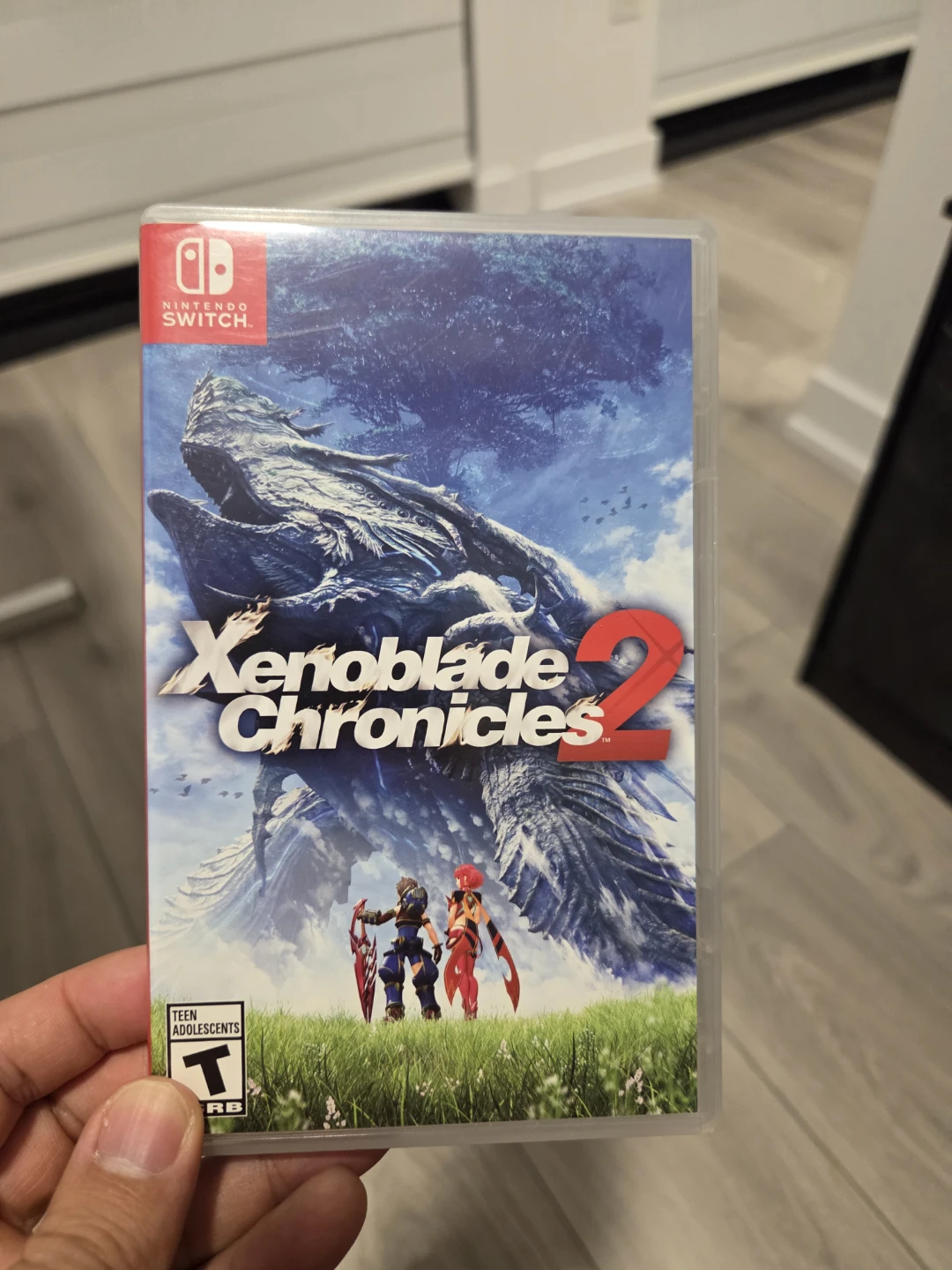 Xenoblade Chronicles 2