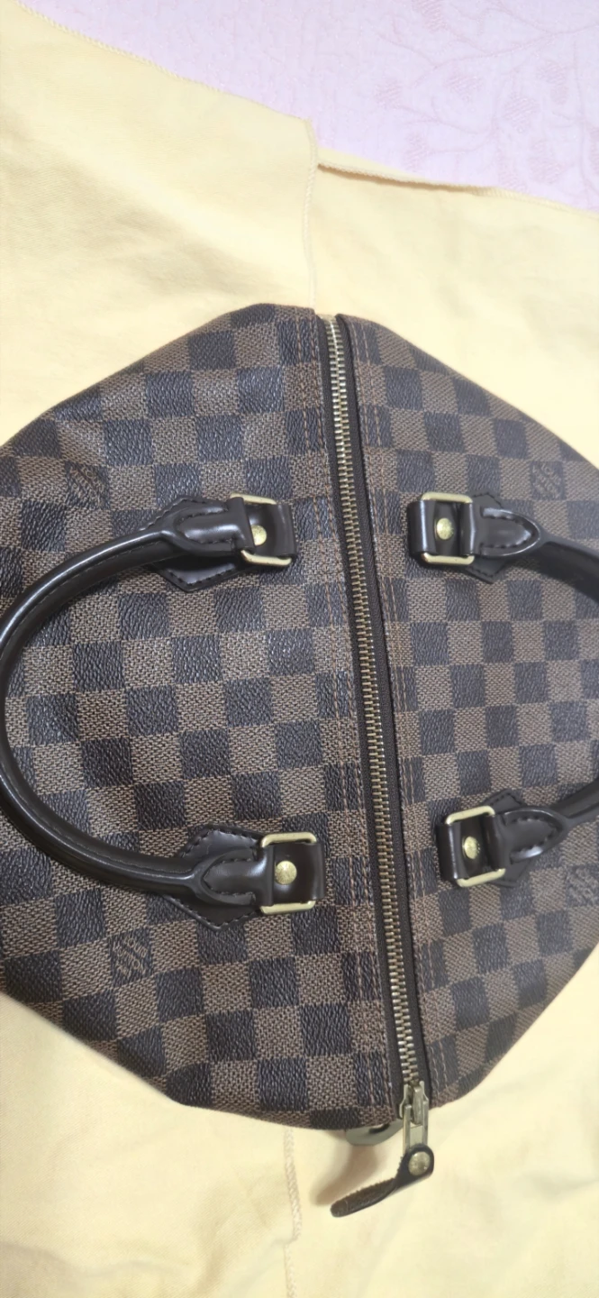 Louis Vuitton Damier Ebene Speedy Handbag - photo 4