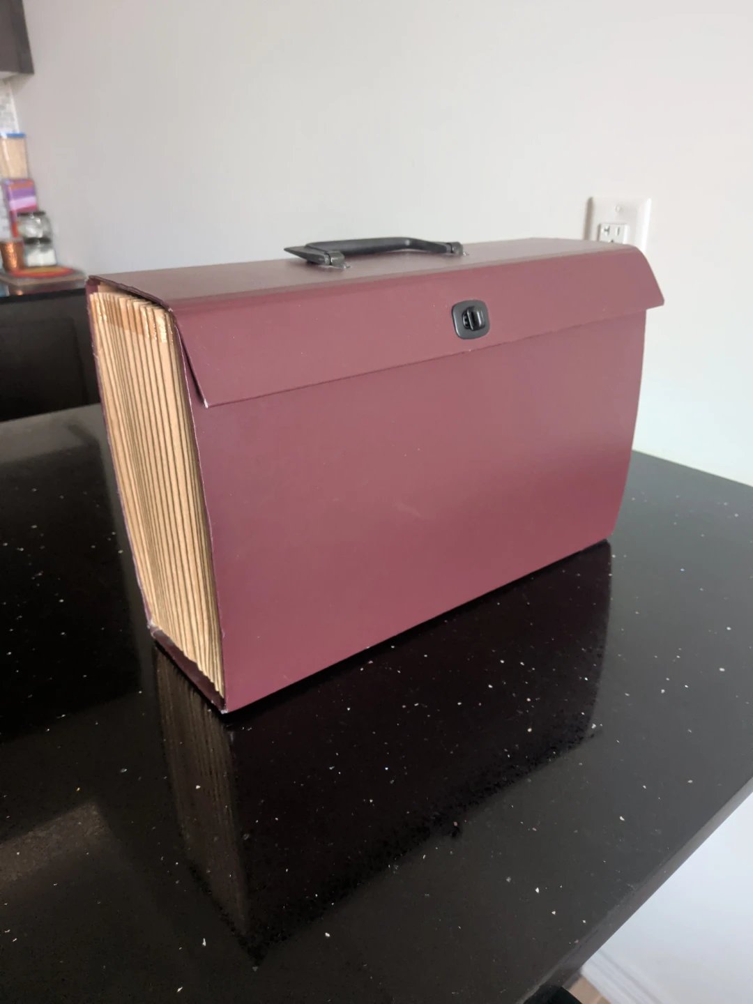 Expanding Accordion Document Organizer