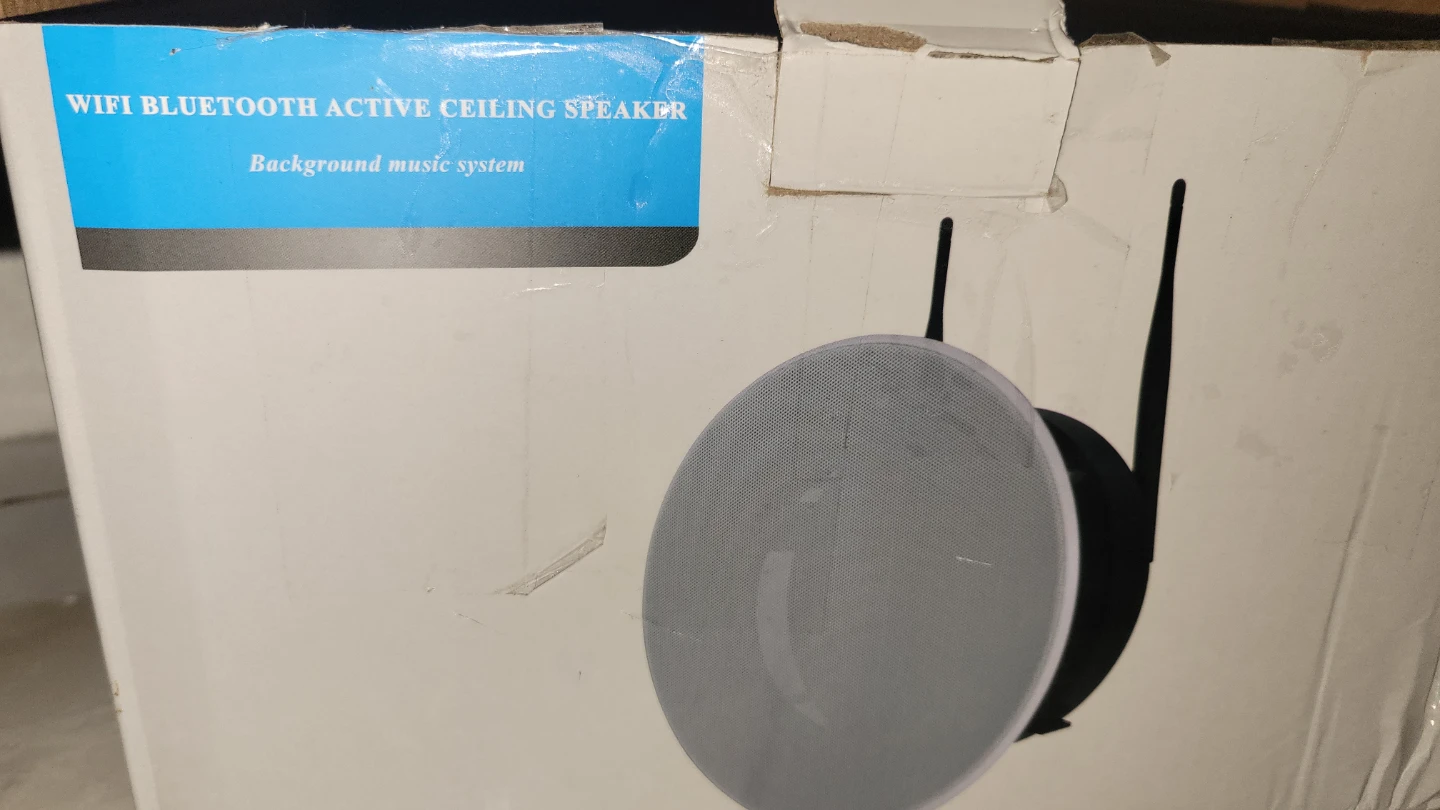 WiFi Bluetooth Active Ceiling Speaker