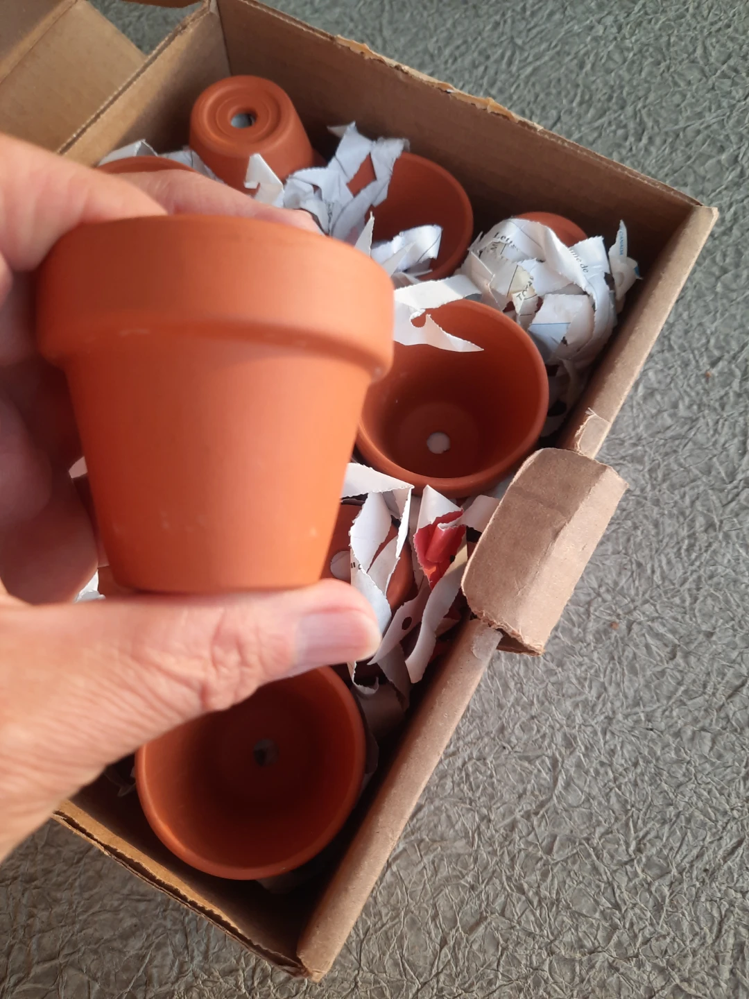 Set of 24  Small Terracotta Pots - photo 4
