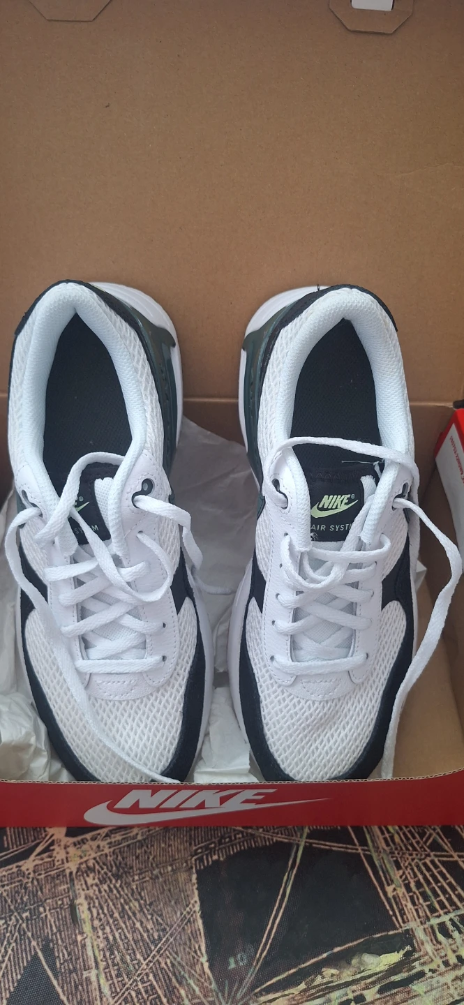 Nike Air Max Sneakers